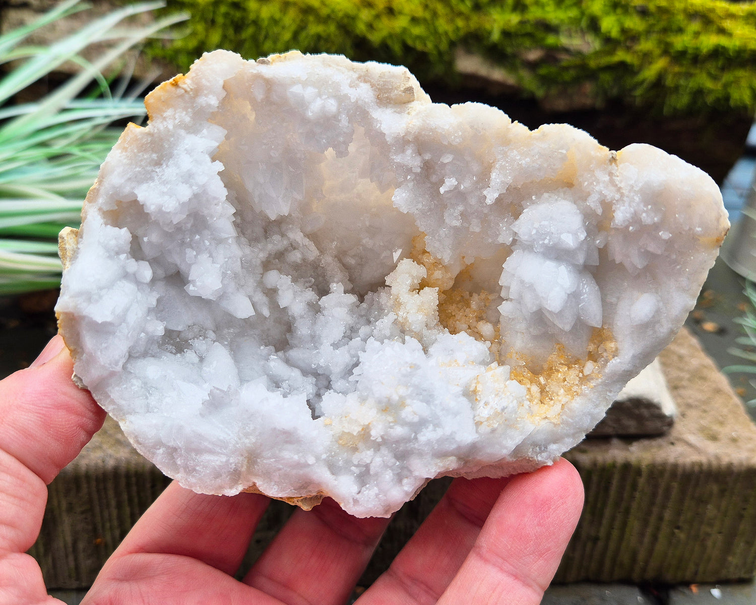 White Quartz Crystal Geode Half, from Morocco. Lovely sparkling white quartz crystal formations. It can sit on an even surface by itself.

Weight - 174 gm, Length - 10.8 cm, Width - 4 cm at widest, height - 8 cm