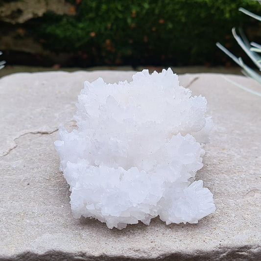 White Coral Aragonite Crystal Cluster