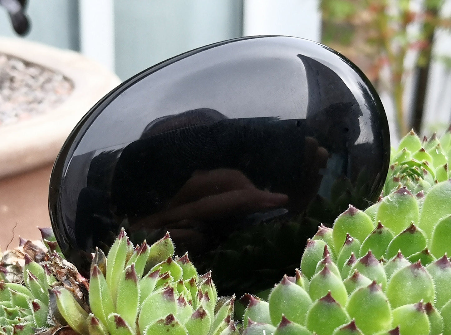 Black Obsidian Crystal Palm Stone. Lovely shiny polish.