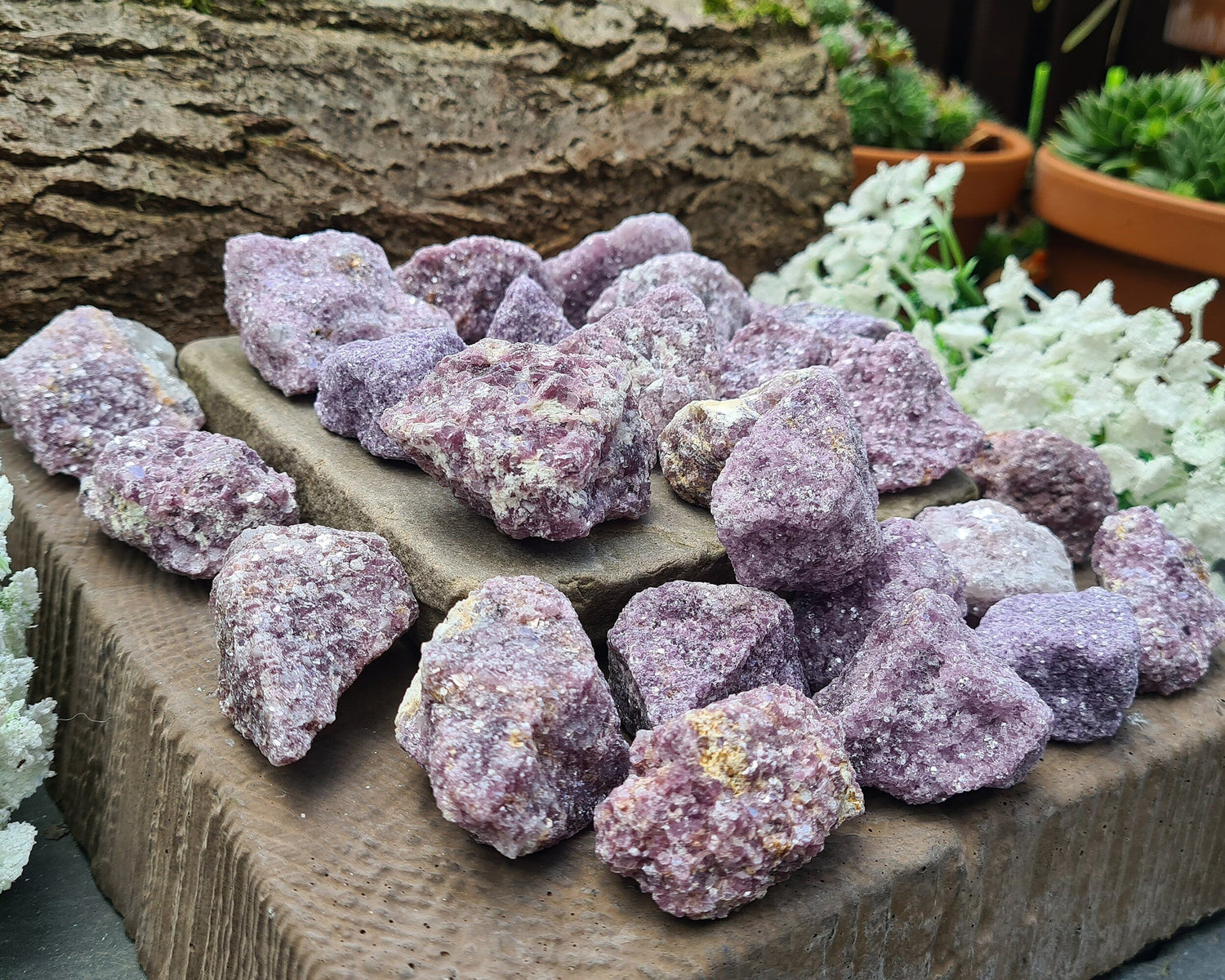 Natural raw Lepidolite crystals rom Brazil. Lovely good quality natural Lepidolite with lots of sparkle and shine. 