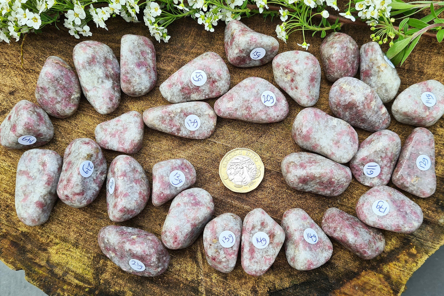 Pink Tourmaline in Quartz crystal tumble stones. Great crystal combo in tumbled form.