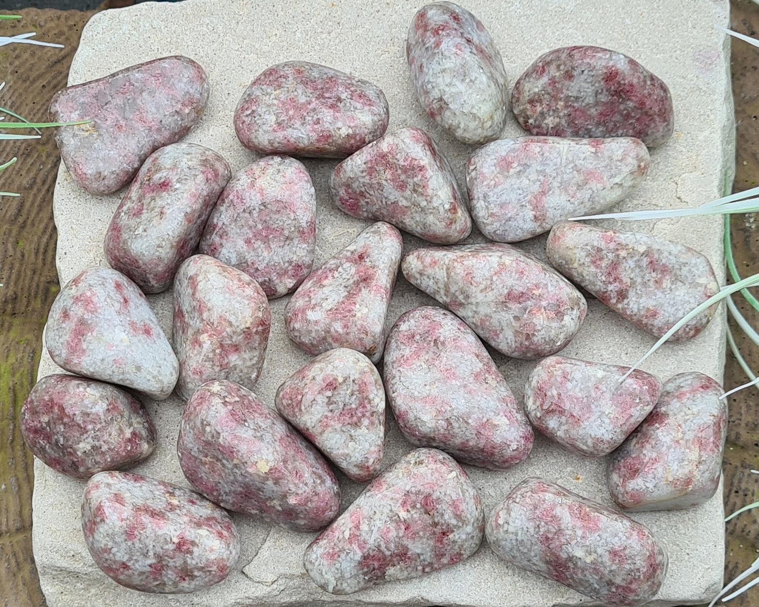 Pink Tourmaline in Quartz crystal tumble stones. Great crystal combo in tumbled form.