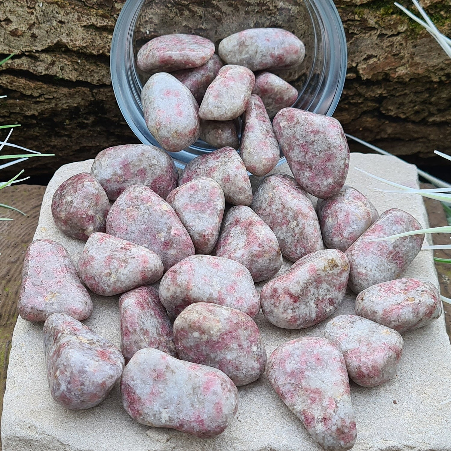 Pink Tourmaline in Quartz crystal tumble stones. Great crystal combo in tumbled form.