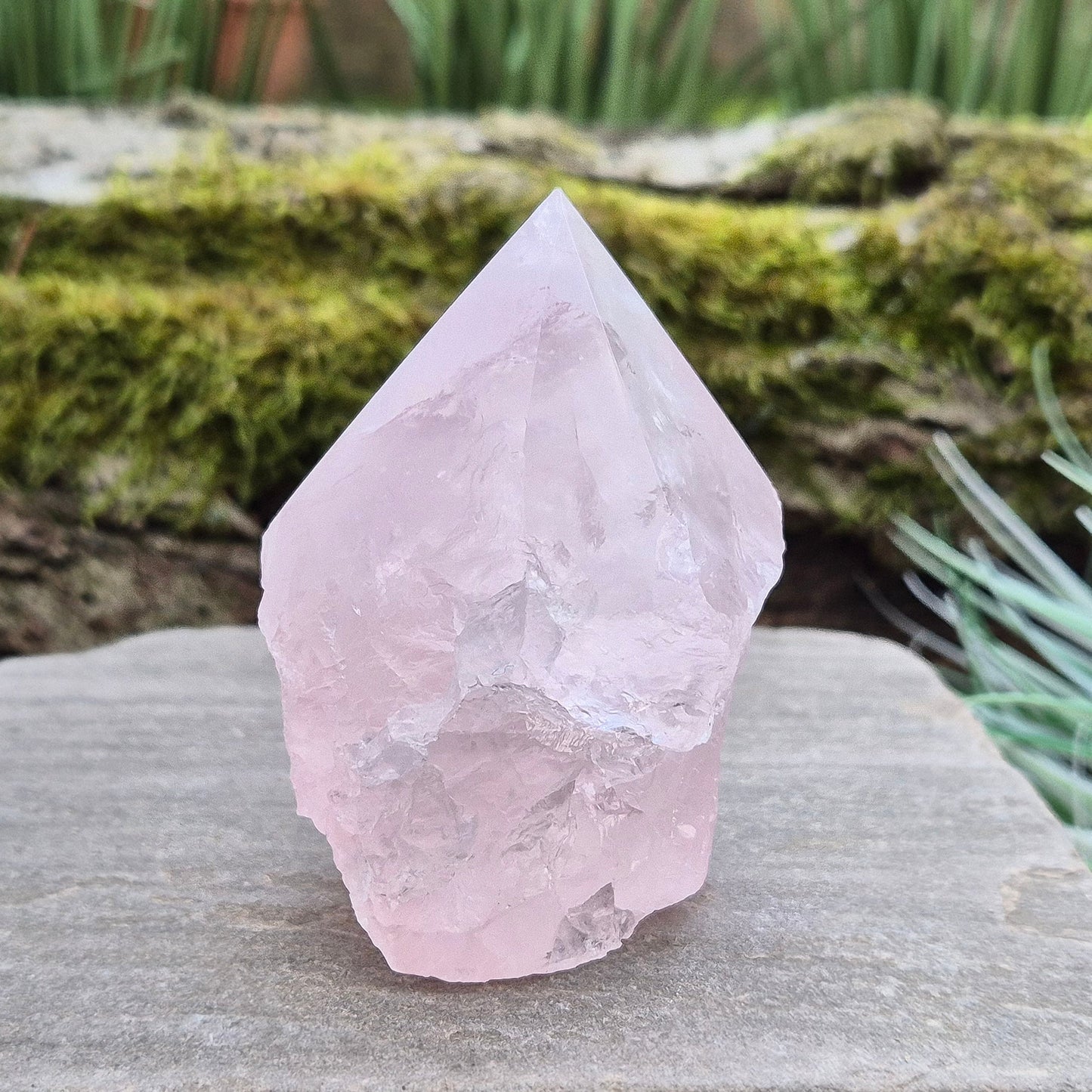 Rose Quartz Crystal Standing point from Brazil. This rose quartz is a lovely pale pink colour.