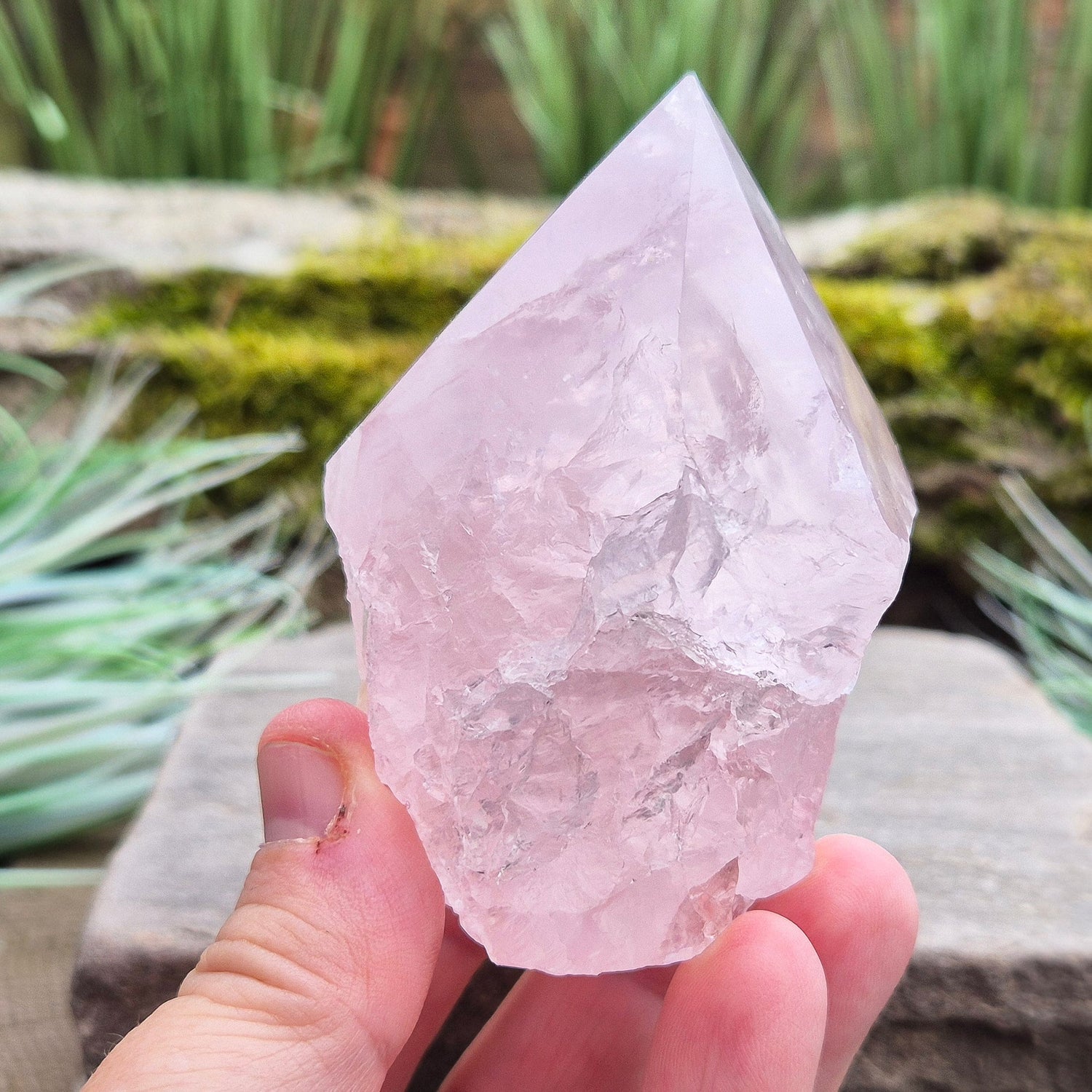 Rose Quartz Crystal Standing point from Brazil. This rose quartz is a lovely pale pink colour.