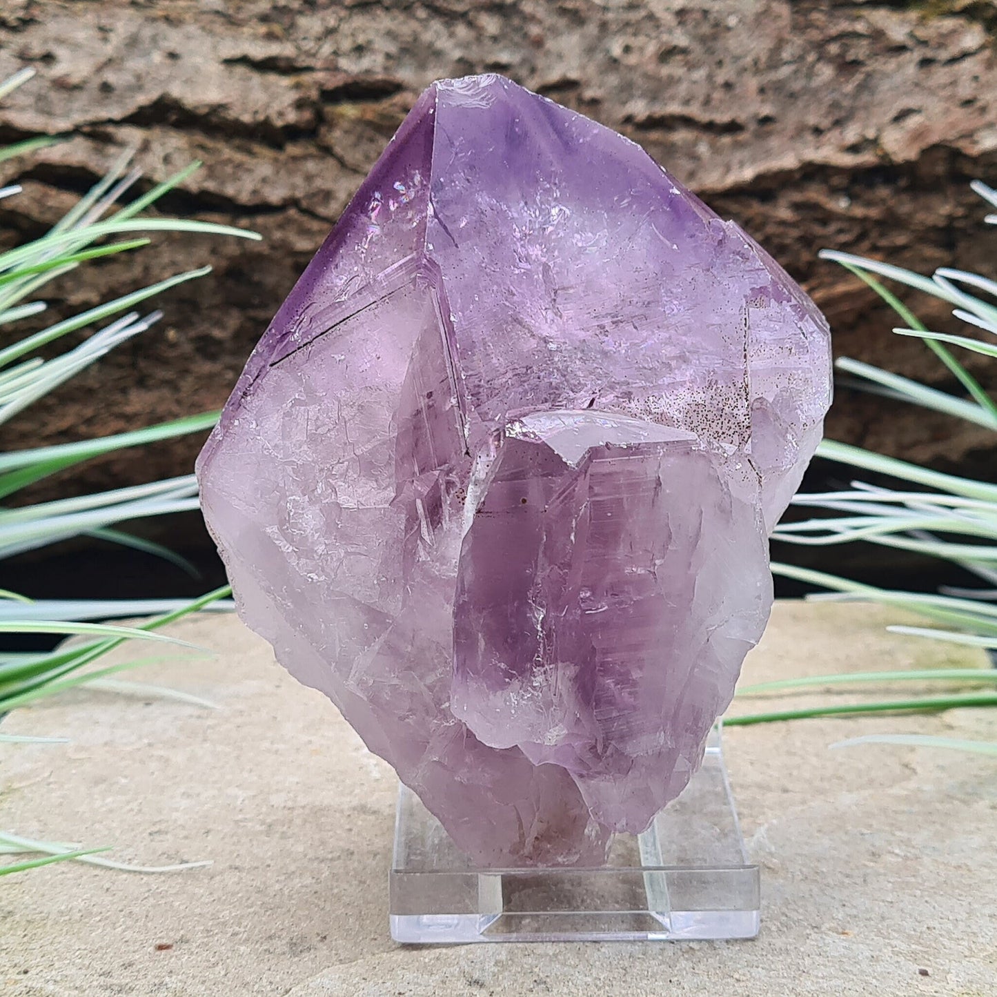 Natural Brazilian Amethyst Point, known as Amethyst Teeth, with visible rainbows; ideal for healing and creating a tranquil energy cocoon.