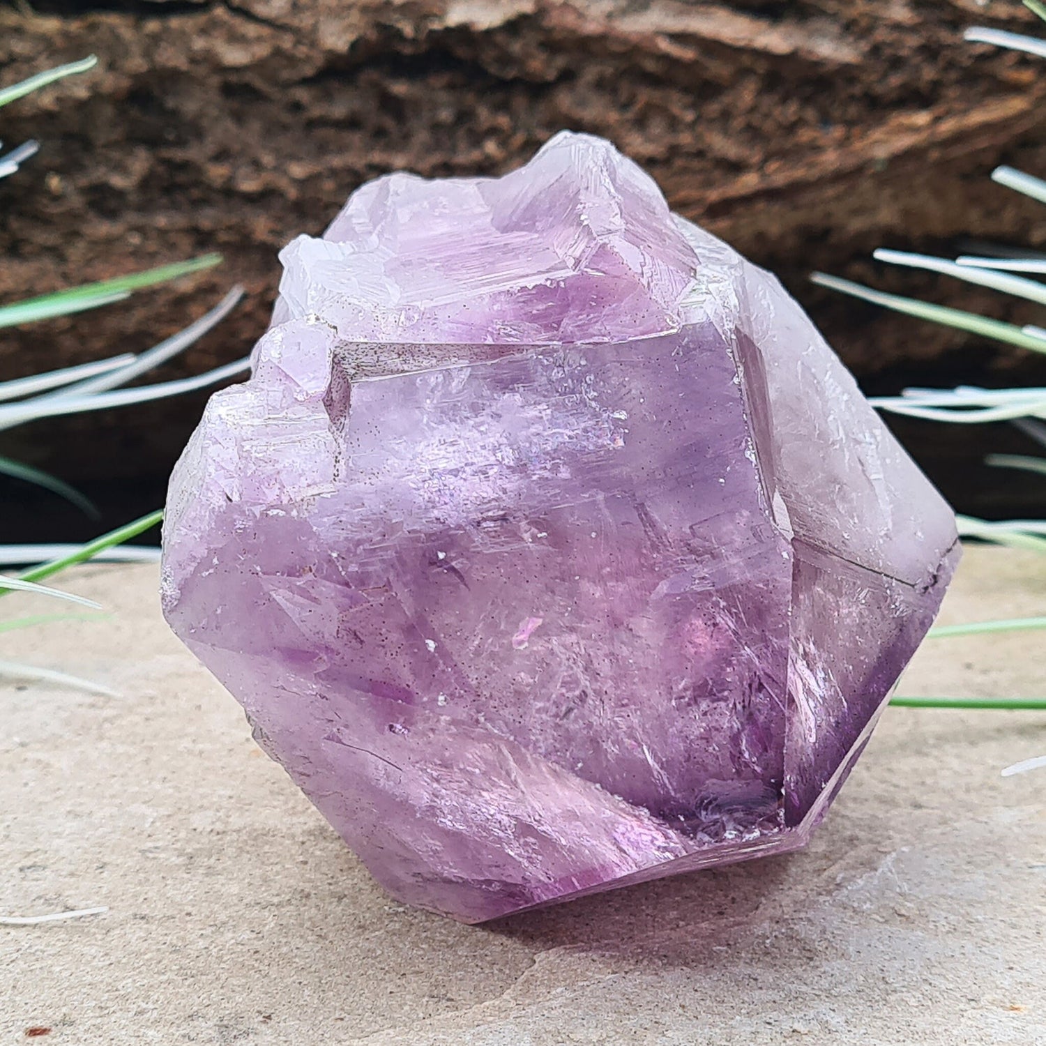 Natural Brazilian Amethyst Point, known as Amethyst Teeth, with visible rainbows; ideal for healing and creating a tranquil energy cocoon.