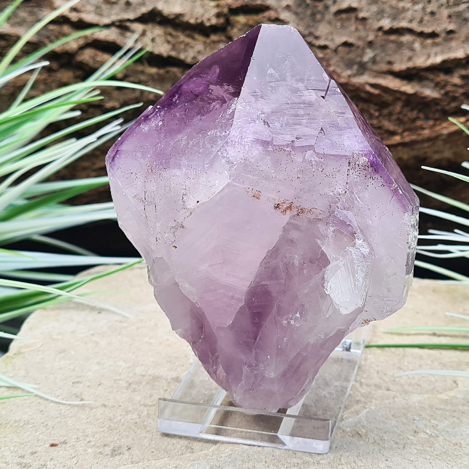 Natural Brazilian Amethyst Point, known as Amethyst Teeth, with visible rainbows; ideal for healing and creating a tranquil energy cocoon.