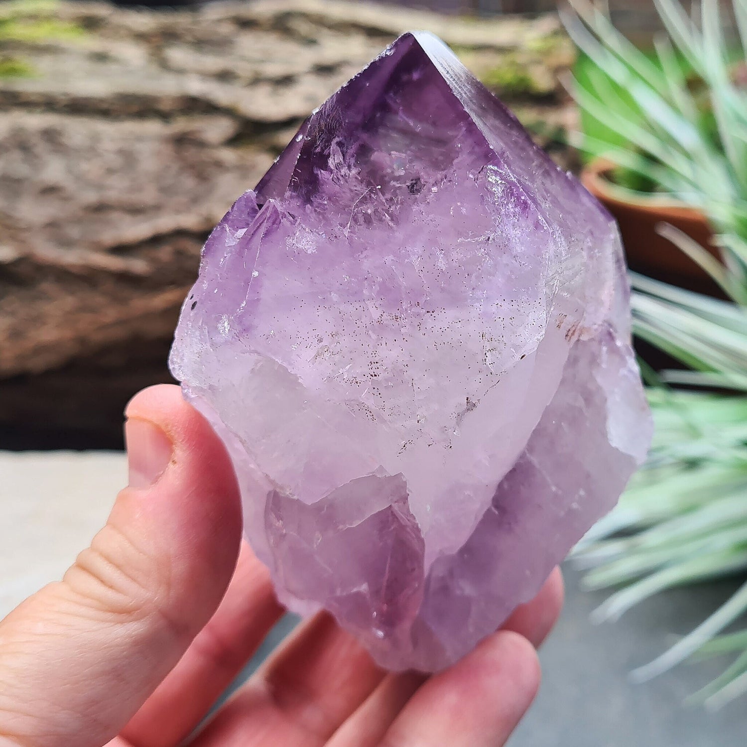 Natural Brazilian Amethyst Point, known as Amethyst Teeth, with visible rainbows; ideal for healing and creating a tranquil energy cocoon.