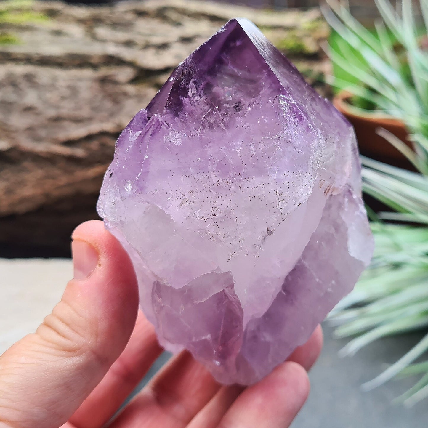 Natural Amethyst Point also known as Amethyst Teeth from Brazil. Perfect for healing, creating a tranquil energy cocoon around the body. 