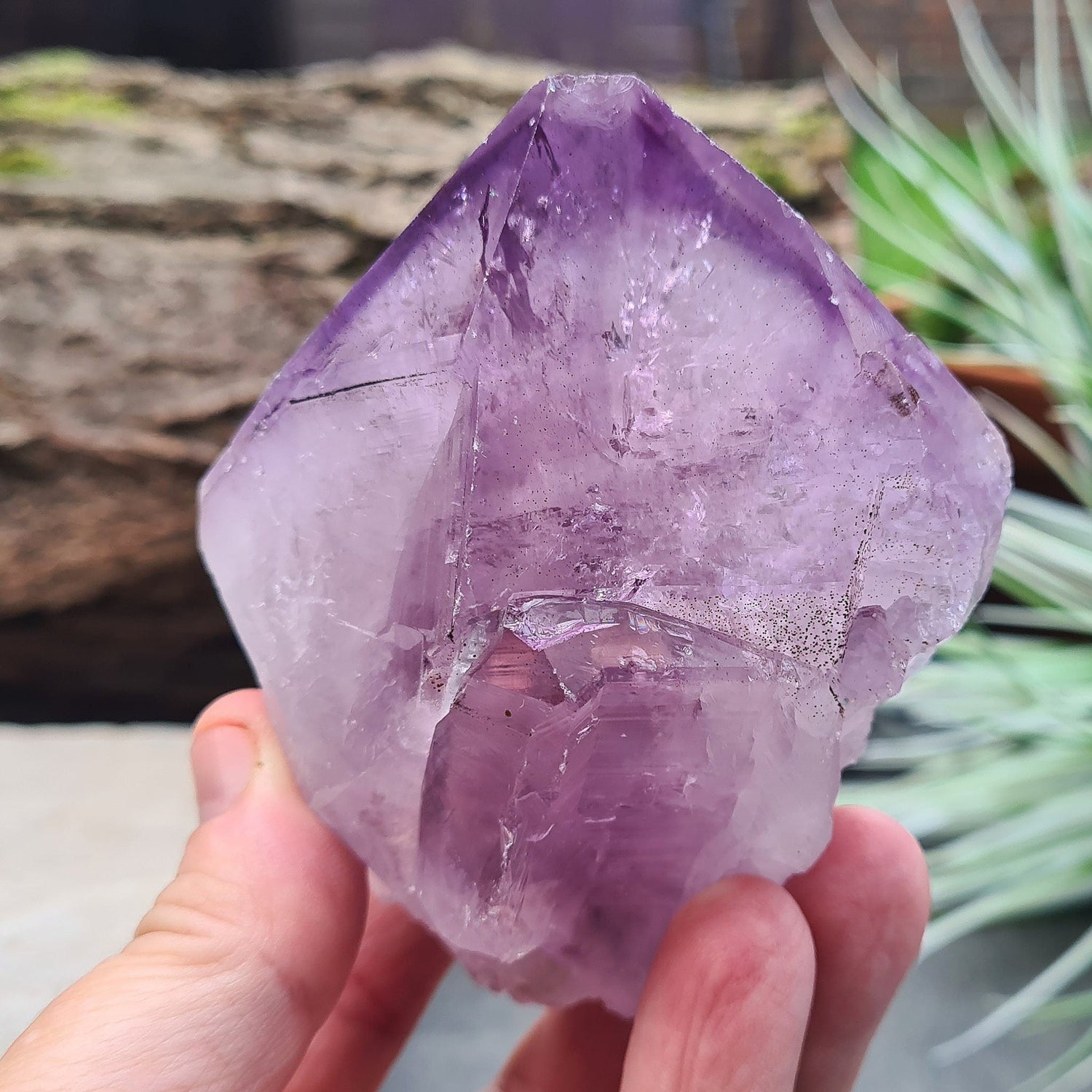 Natural Brazilian Amethyst Point, known as Amethyst Teeth, with visible rainbows; ideal for healing and creating a tranquil energy cocoon.