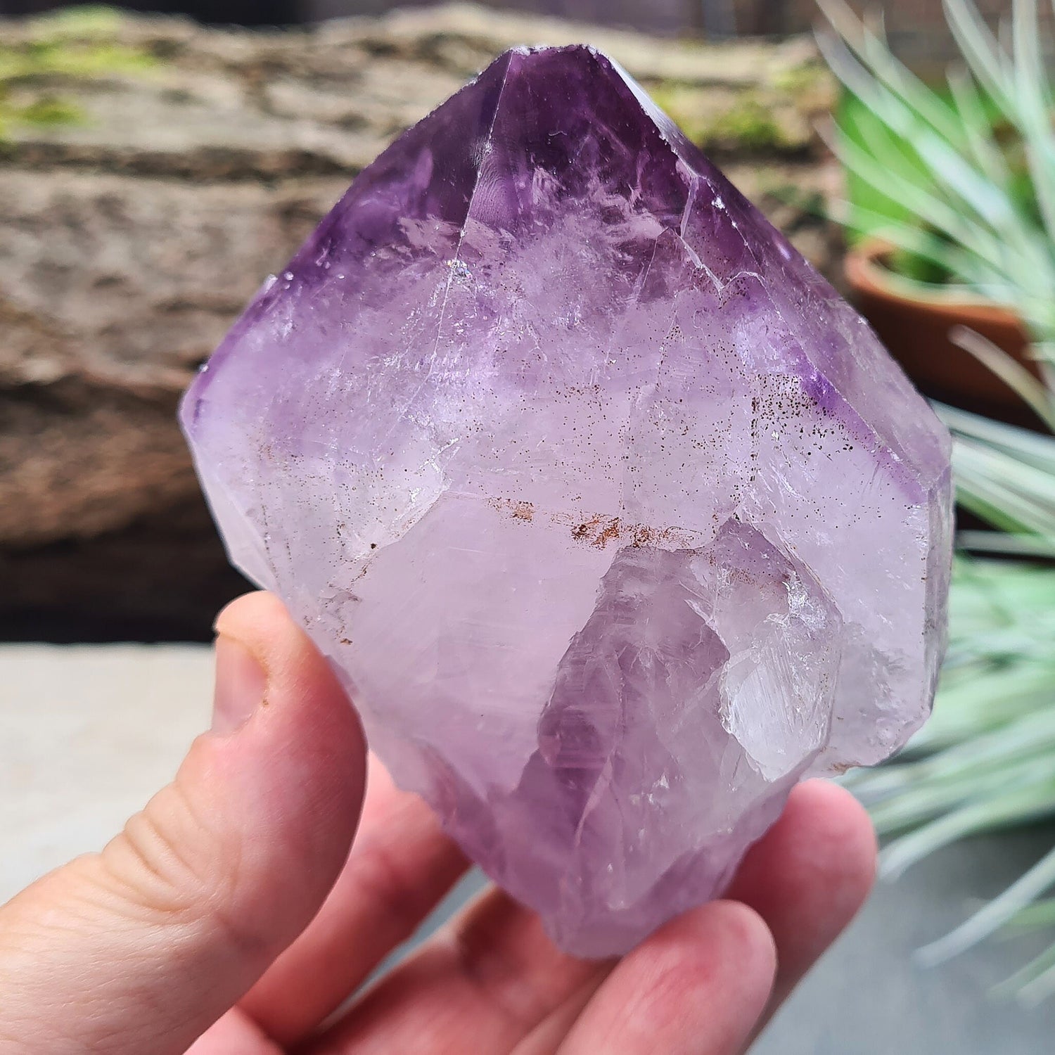 Natural Brazilian Amethyst Point, known as Amethyst Teeth, with visible rainbows; ideal for healing and creating a tranquil energy cocoon.