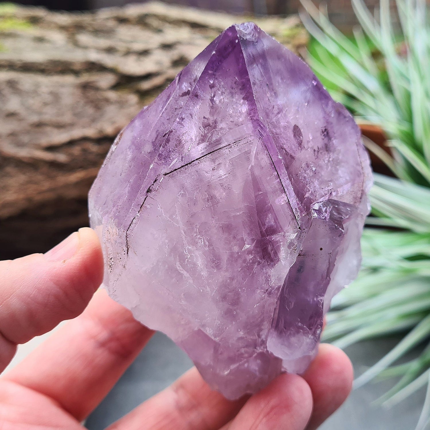 Natural Brazilian Amethyst Point, known as Amethyst Teeth, with visible rainbows; ideal for healing and creating a tranquil energy cocoon.