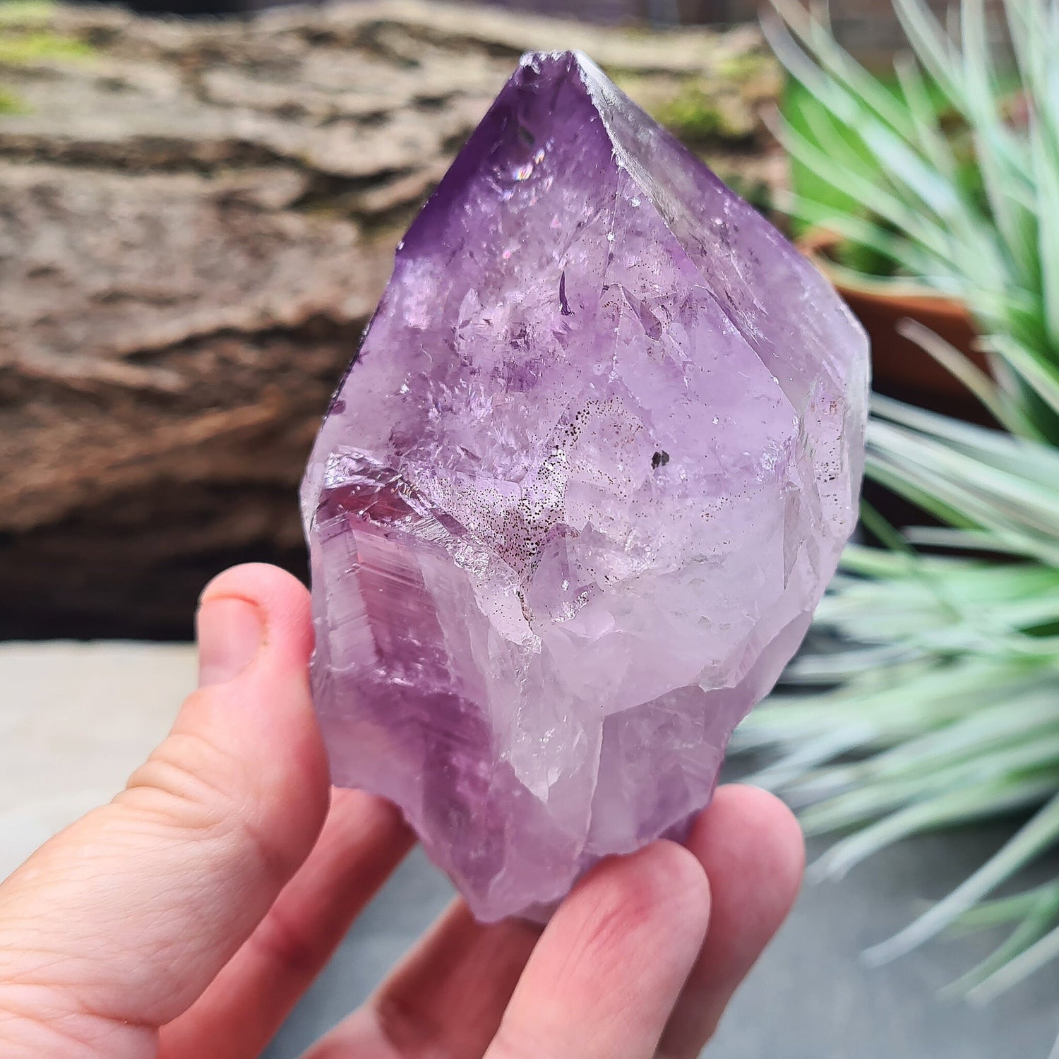 Natural Brazilian Amethyst Point, known as Amethyst Teeth, with visible rainbows; ideal for healing and creating a tranquil energy cocoon.