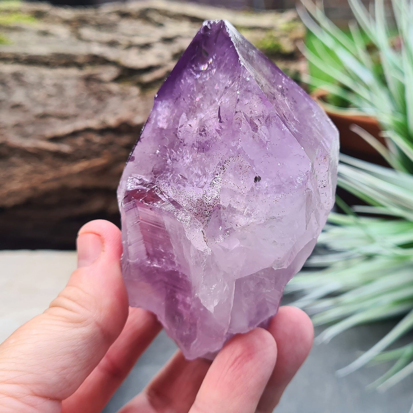 Amethyst Crystal Point with Rainbows