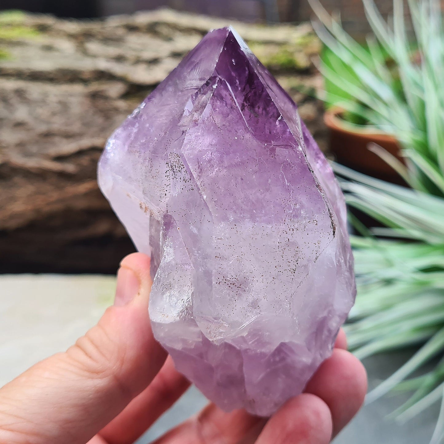 Natural Brazilian Amethyst Point, known as Amethyst Teeth, with visible rainbows; ideal for healing and creating a tranquil energy cocoon.