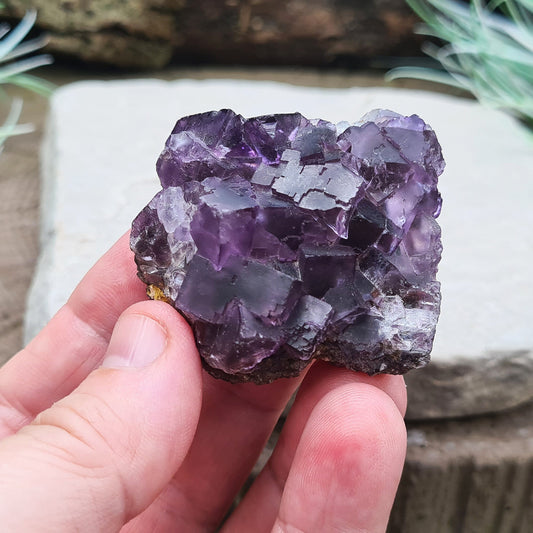 Purple Fluorite Crystal Cluster