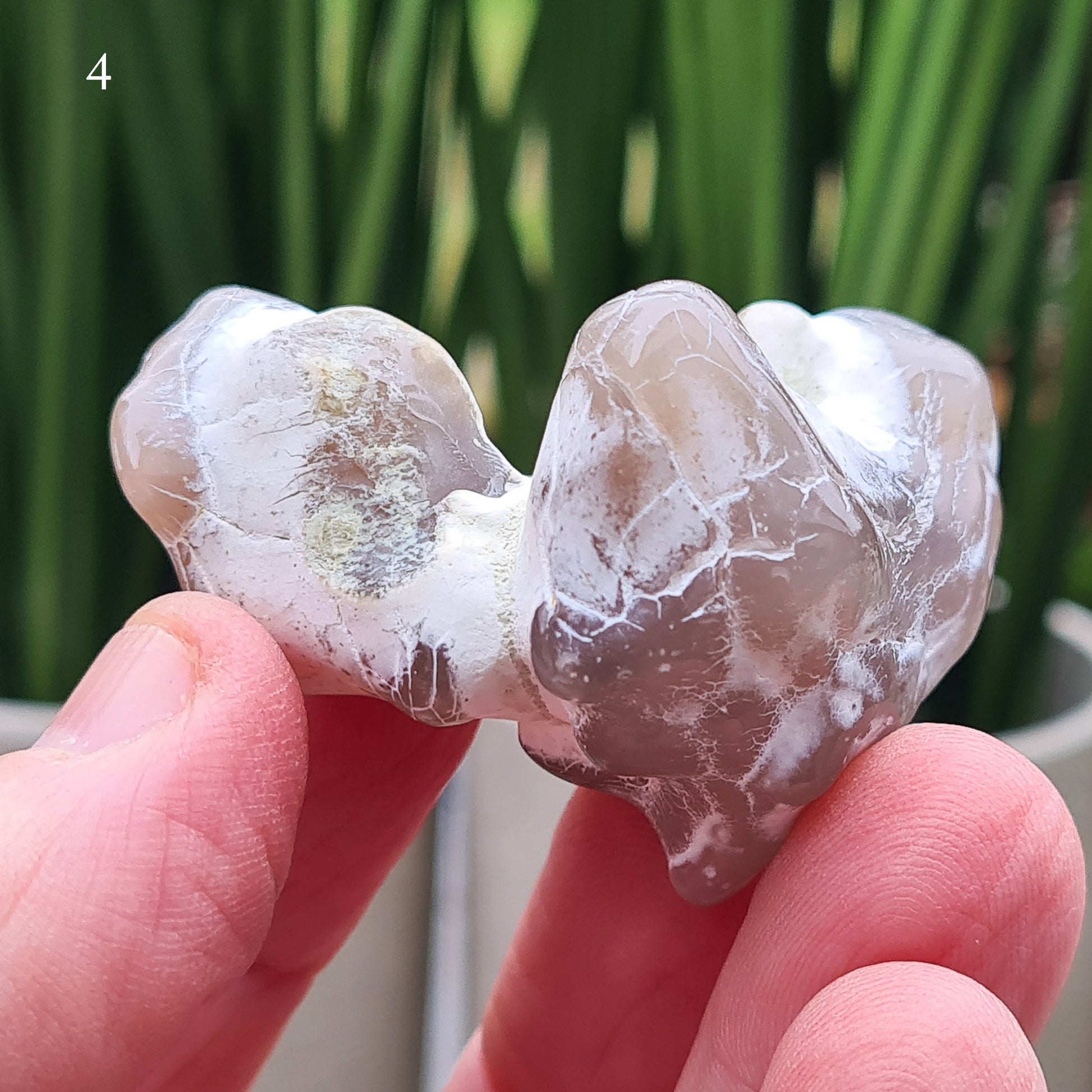 Snakeskin Agate Crystal from Oregon, USA, is a rare, semi-translucent stone with unique markings resembling snake skin. 