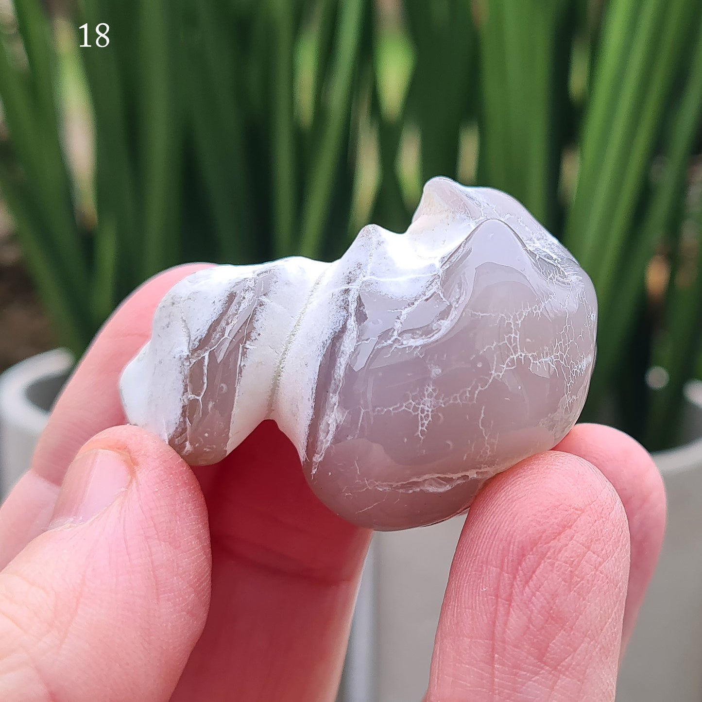 Snakeskin Agate Crystal from Oregon, USA, is a rare, semi-translucent stone with unique markings resembling snake skin. 