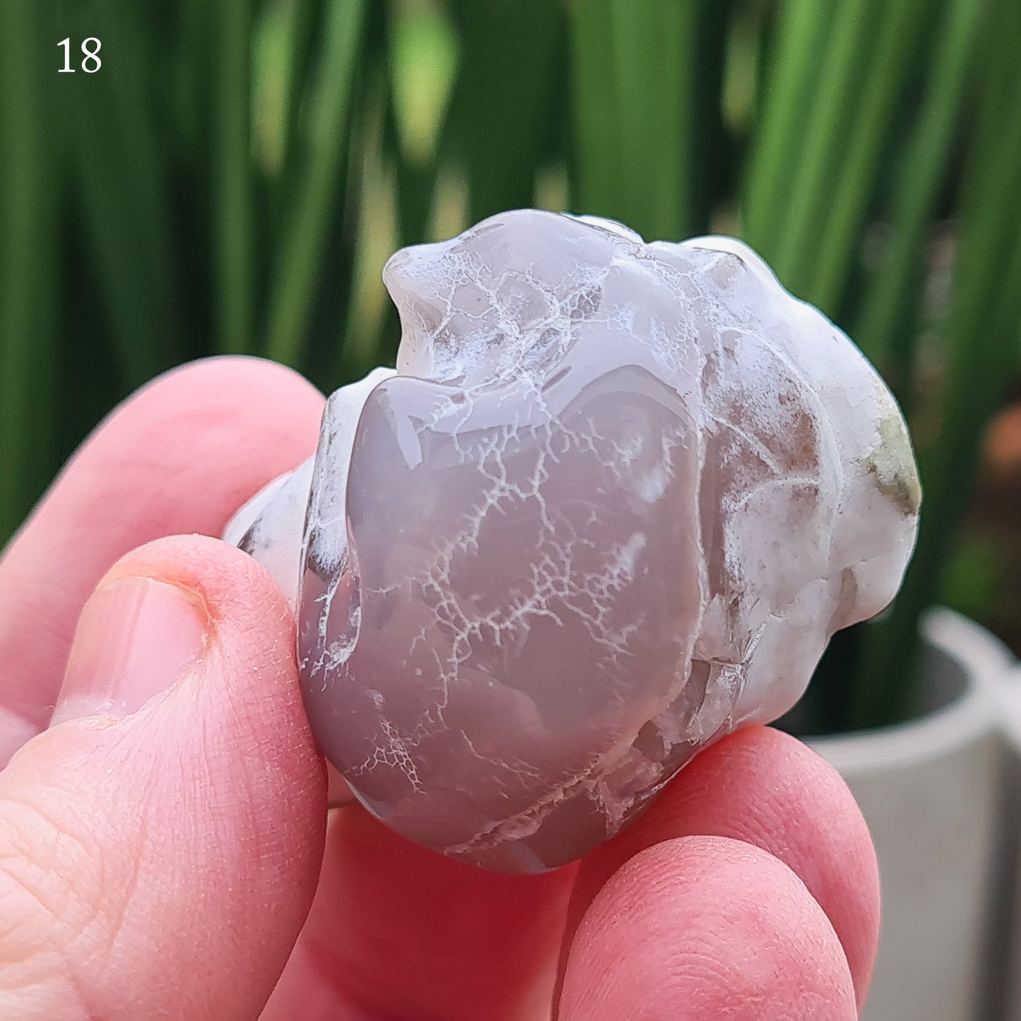 Snakeskin Agate Crystal from Oregon, USA, is a rare, semi-translucent stone with unique markings resembling snake skin. 