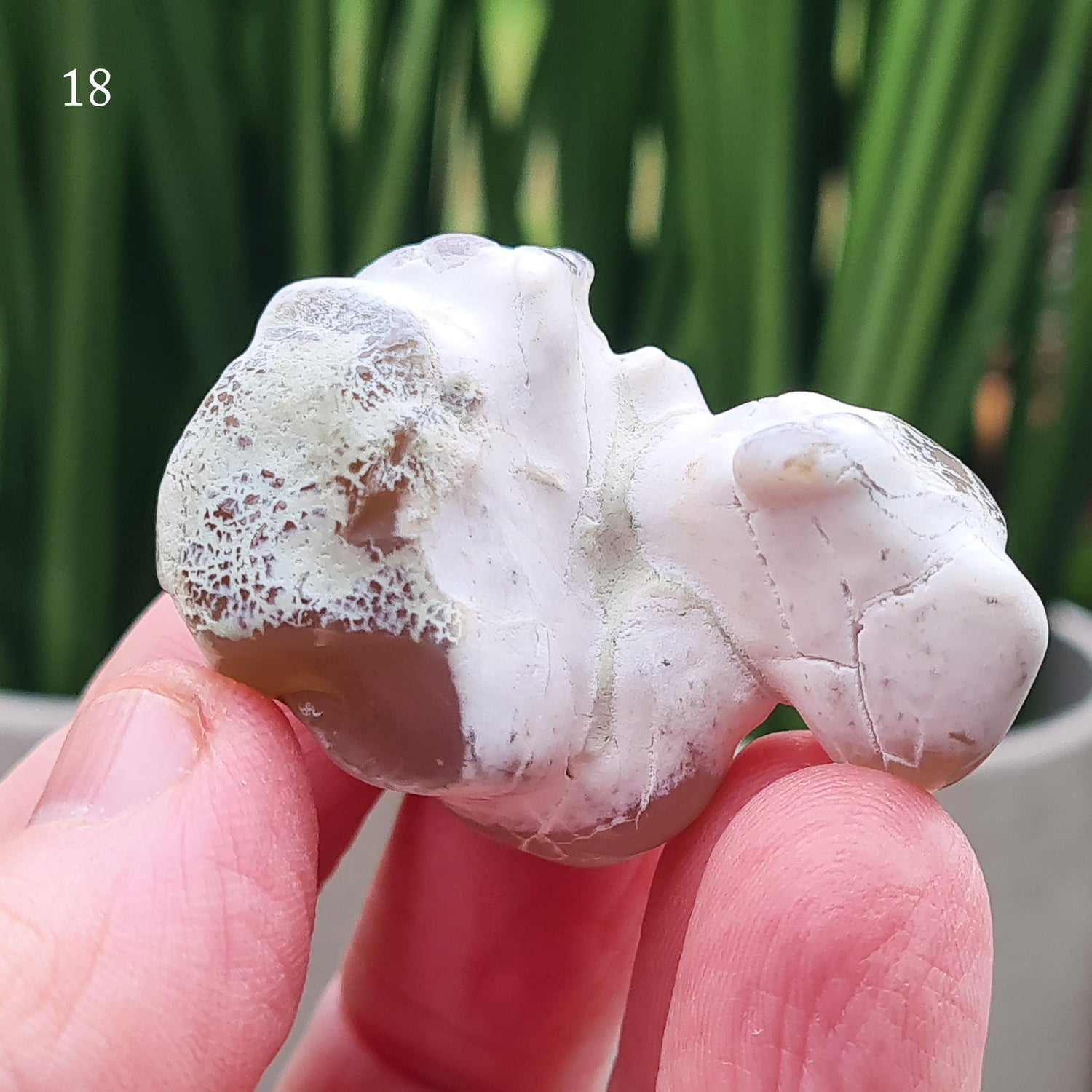 Snakeskin Agate Crystal from Oregon, USA, is a rare, semi-translucent stone with unique markings resembling snake skin. 