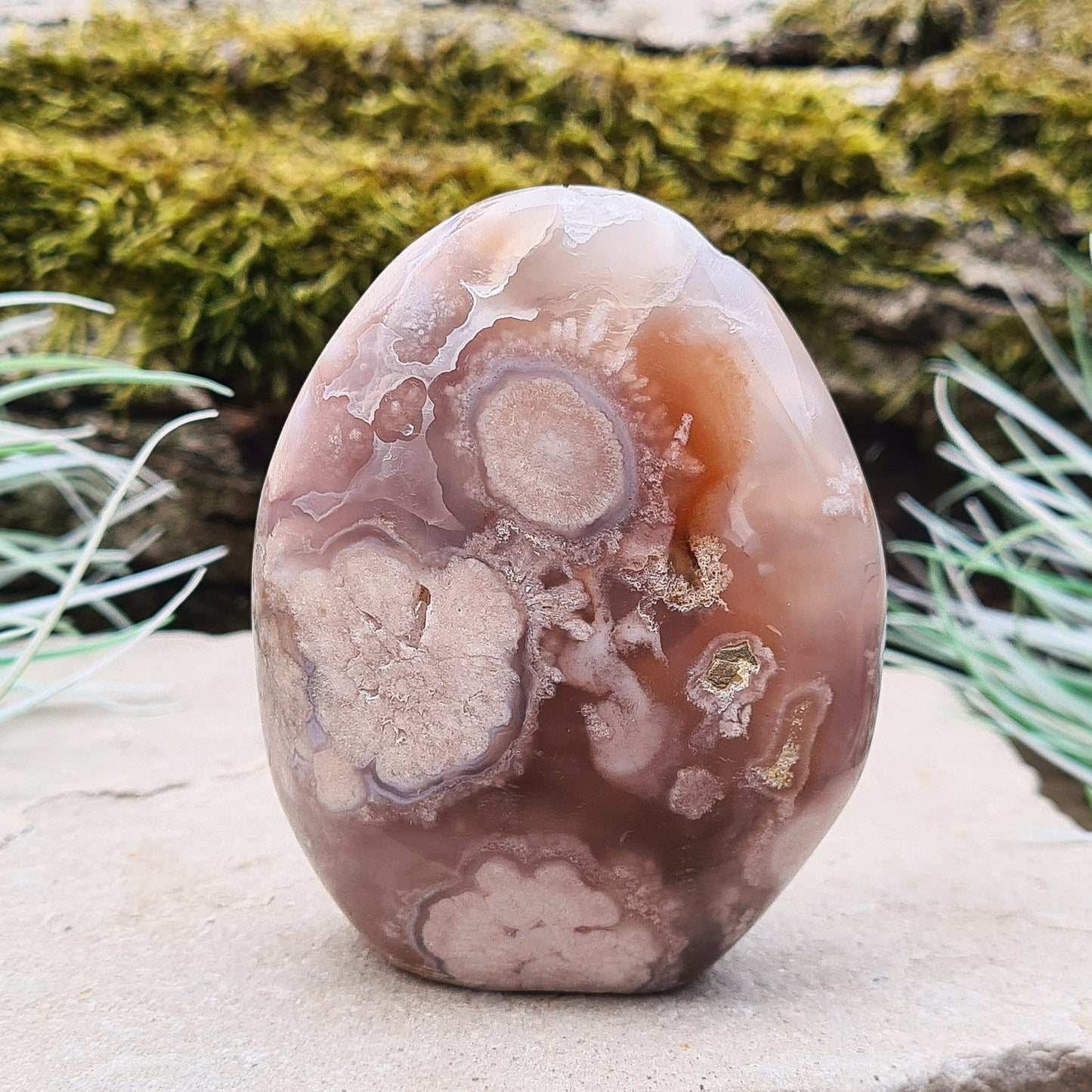 Flower Agate Crystal Free form also called Cherry Blossom Agate or Blossom Agate. 