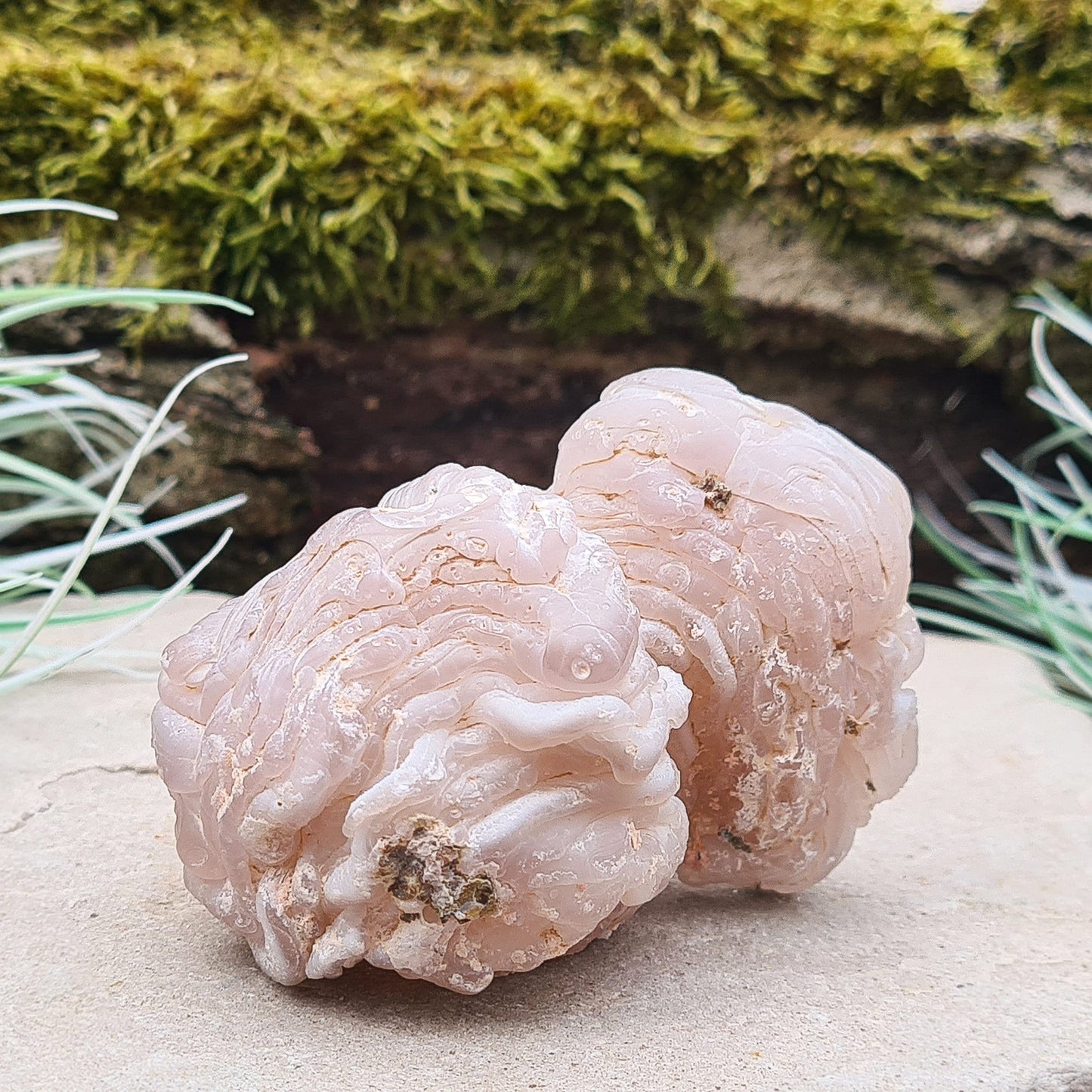 Chalcedony, natural crystal from Sonara in Mexico. Great quality crystal specimen.