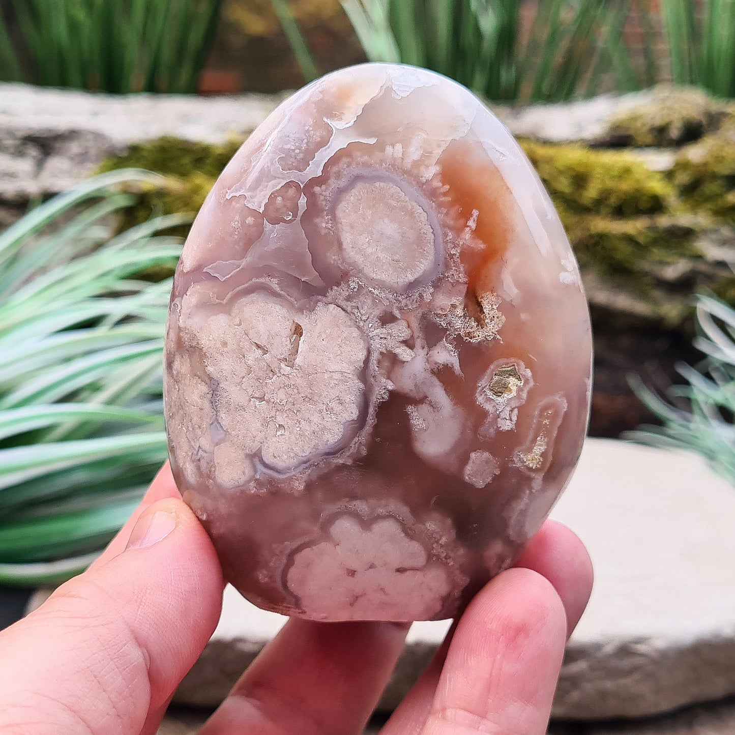 Flower Agate Crystal Free form also called Cherry Blossom Agate or Blossom Agate. 