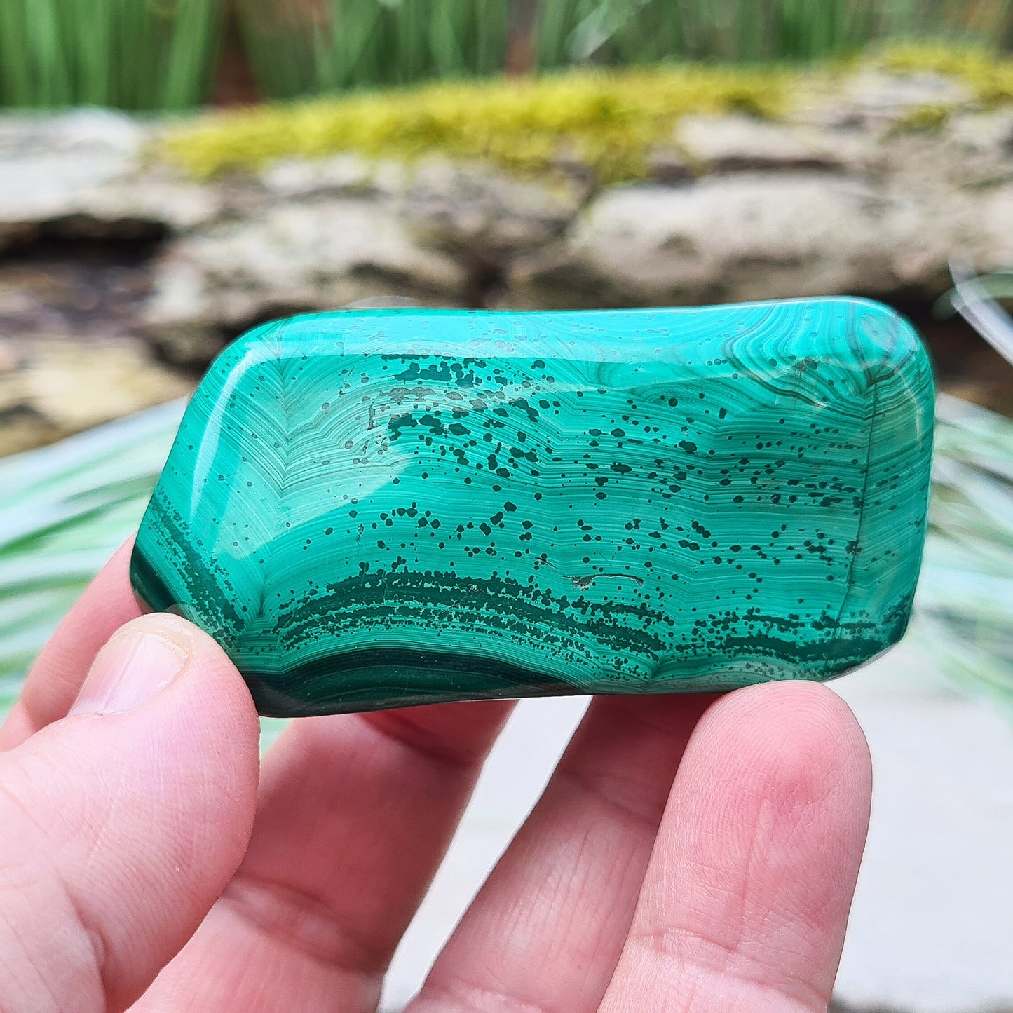 Malachite Crystal Freeform from the Congo. Polished Malachite which has wonderful green markings.