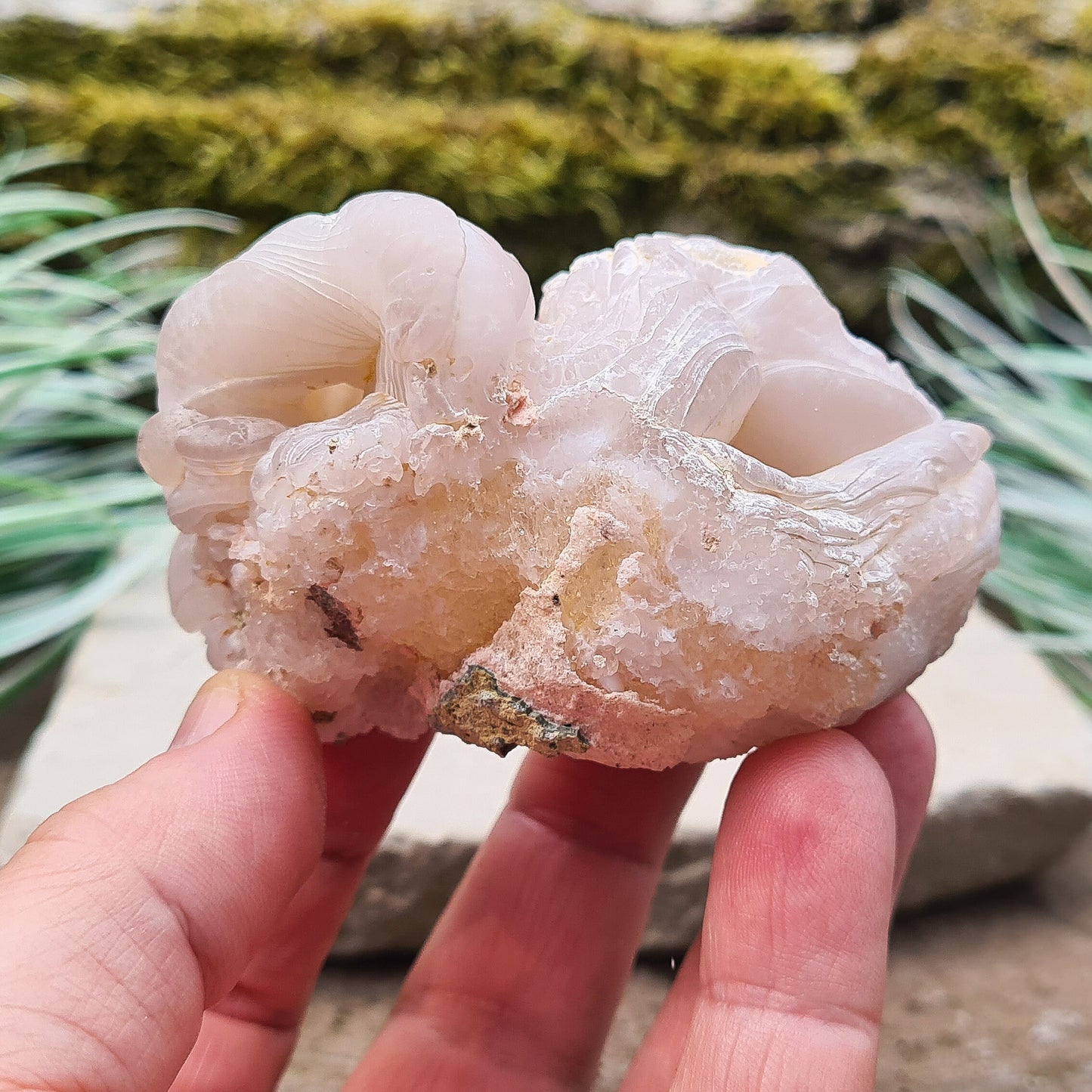 Chalcedony, natural crystal from Sonara in Mexico. Great quality crystal specimen.