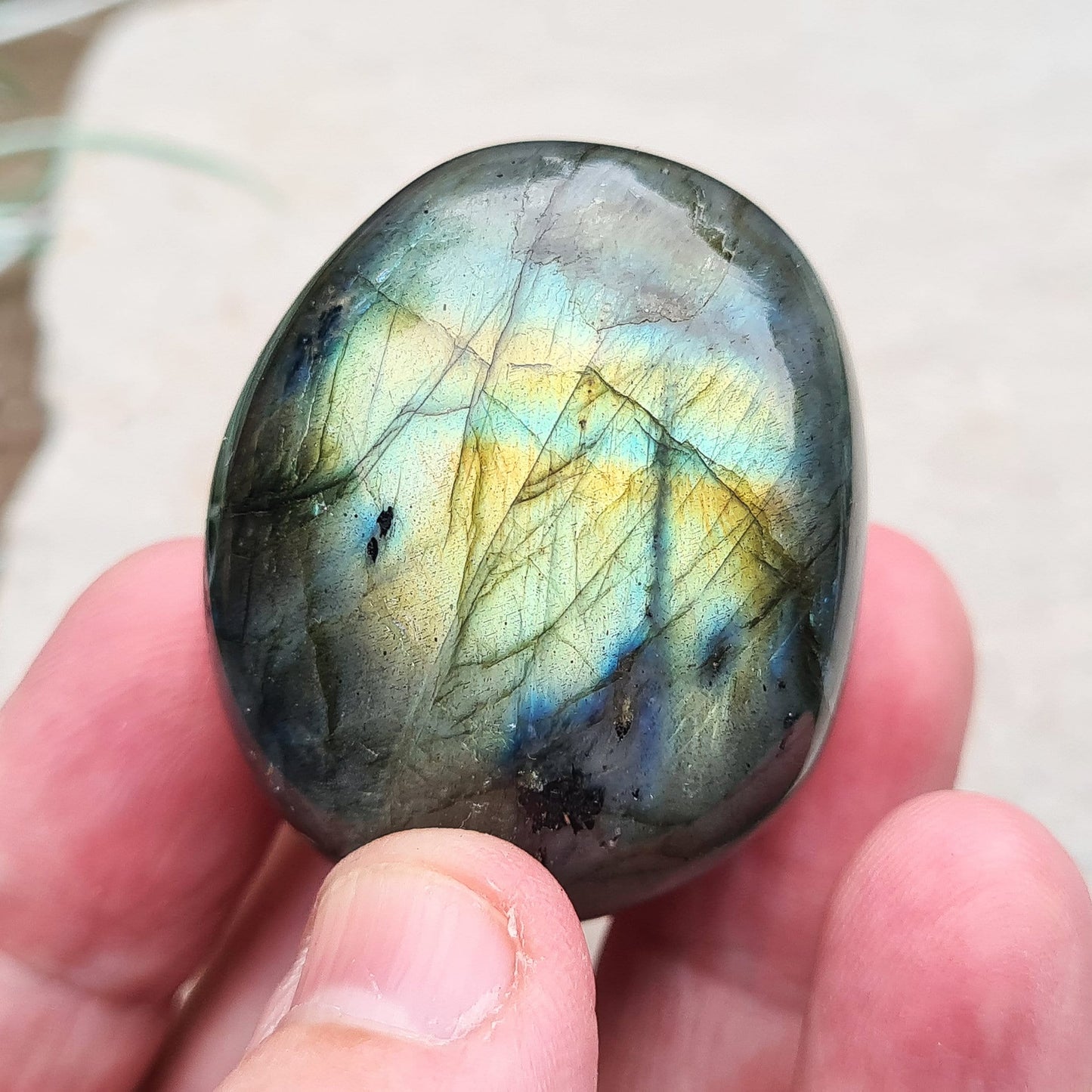 Polished Labradorite Crystal Pebble from Madagascar, also known as Spectrolite. Nice flashes of green, gold, and indigo blue colour in the light.