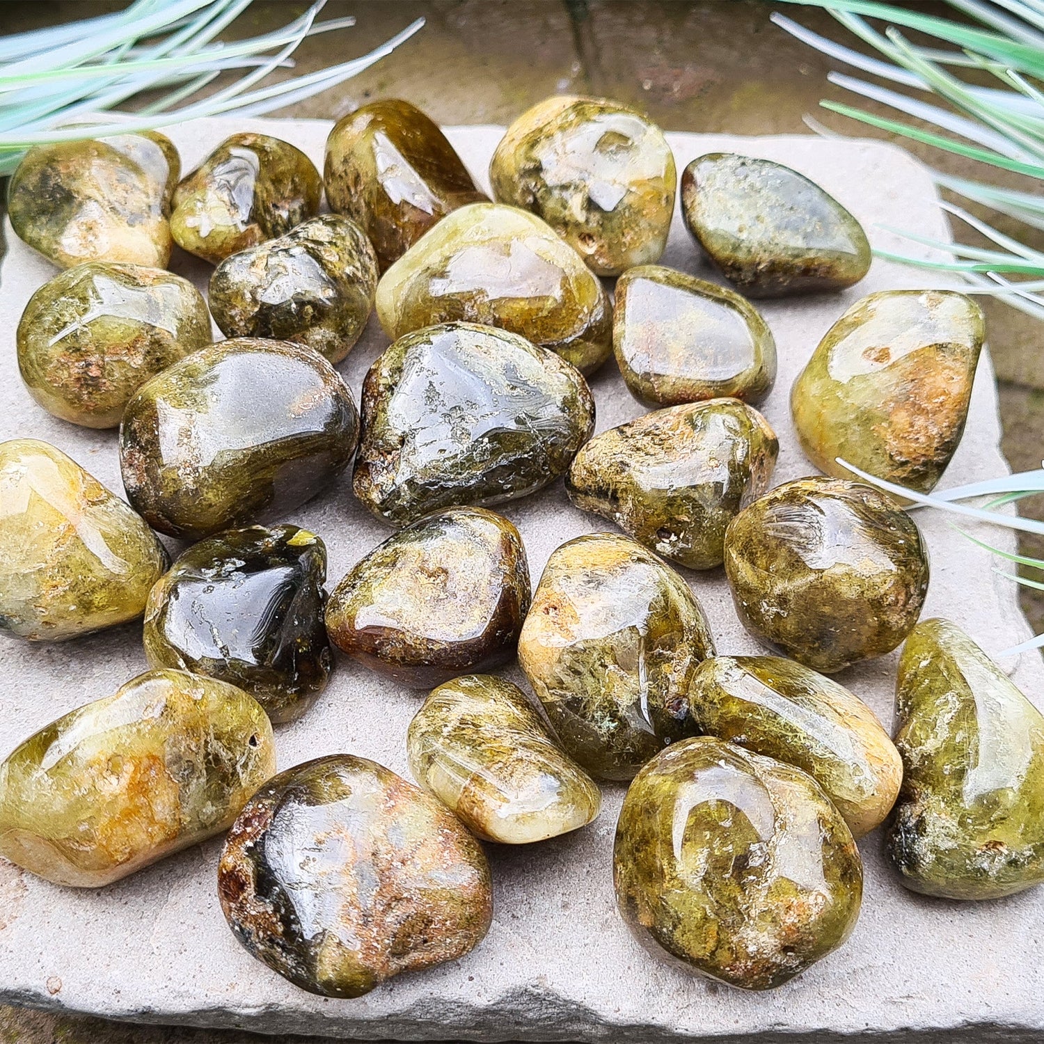 Green Garnet Tumbled Crystals. From South Africa. A mixture of light green to dark green tones. 