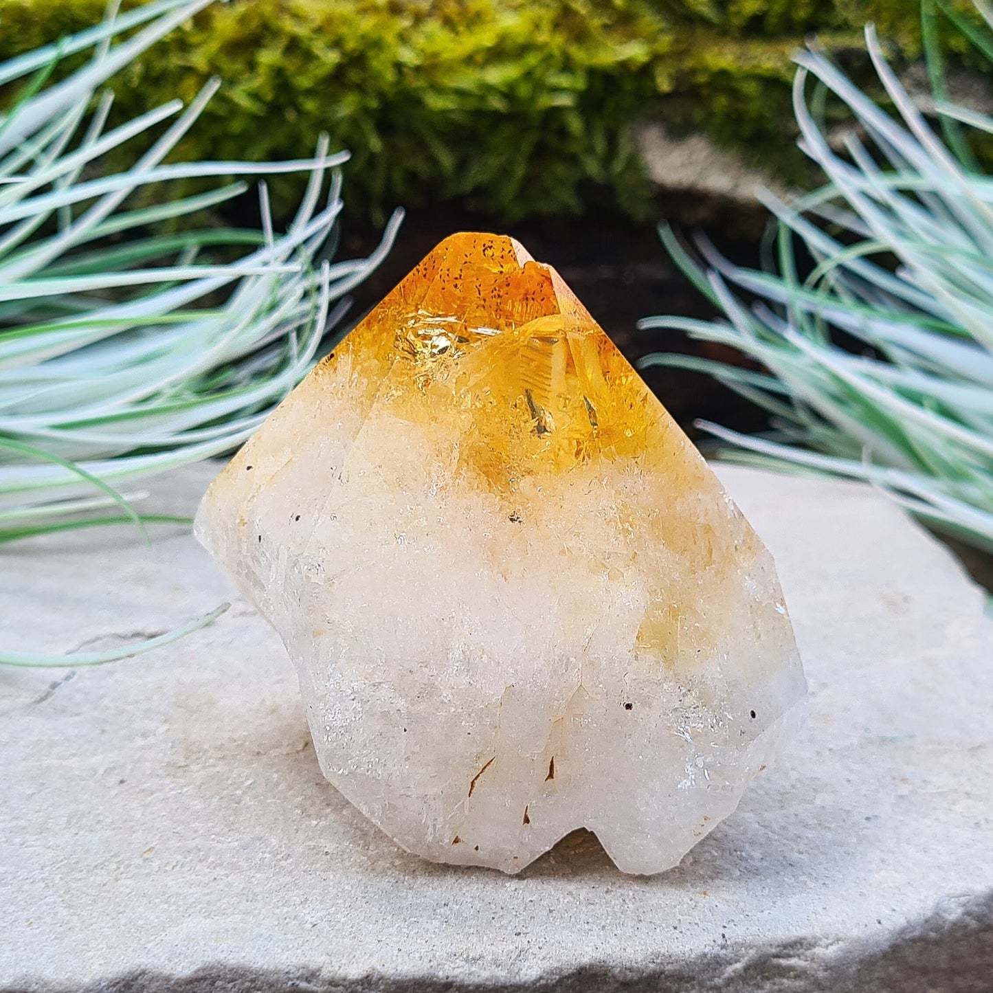 Citrine Crystal Standing Point