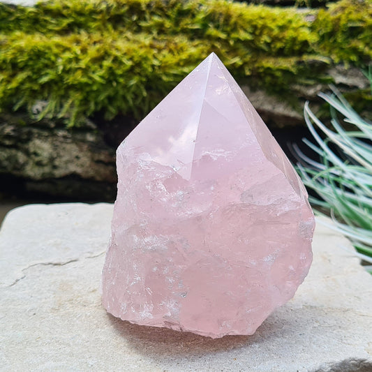 Rose Quartz Crystal Standing point from Brazil. This rose quartz is a lovely pale pink colour. Point is polished, base is cut flat and polished, rest of the crystal is natural.