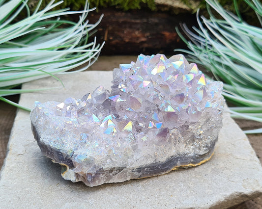 Sparkling Aura Amethyst Crystal Cluster from Brazil. This cluster has a 'rosette' like formation sitting on the base.