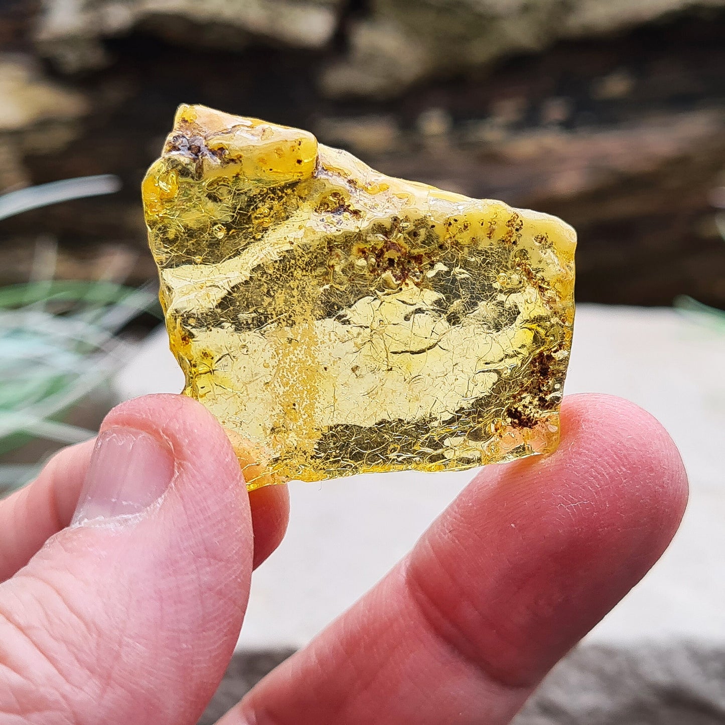 Colombian Copal Amber. This Amber is from Colombia and it is not normally as Geologically old as 'Baltic' Amber so that is why it is given the name Copal Amber. 