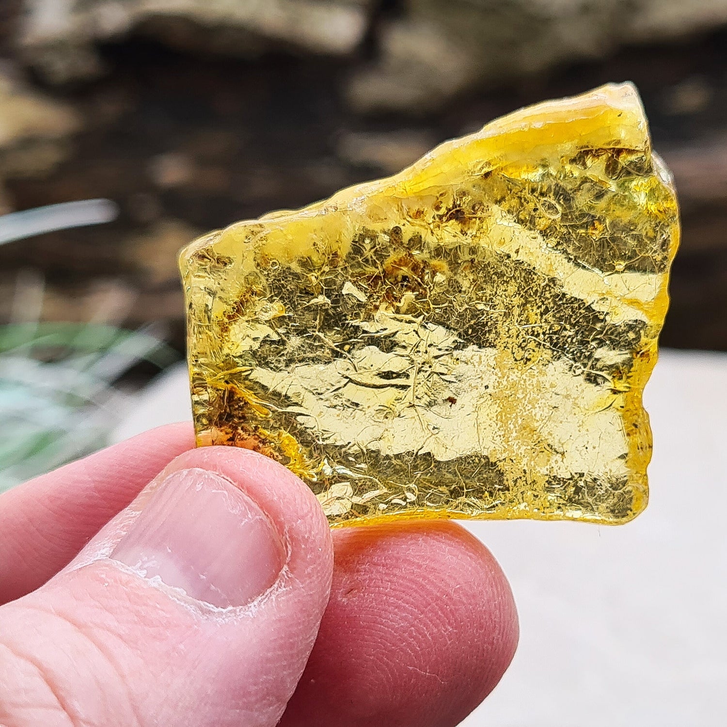 Colombian Copal Amber. This Amber is from Colombia and it is not normally as Geologically old as 'Baltic' Amber so that is why it is given the name Copal Amber. 