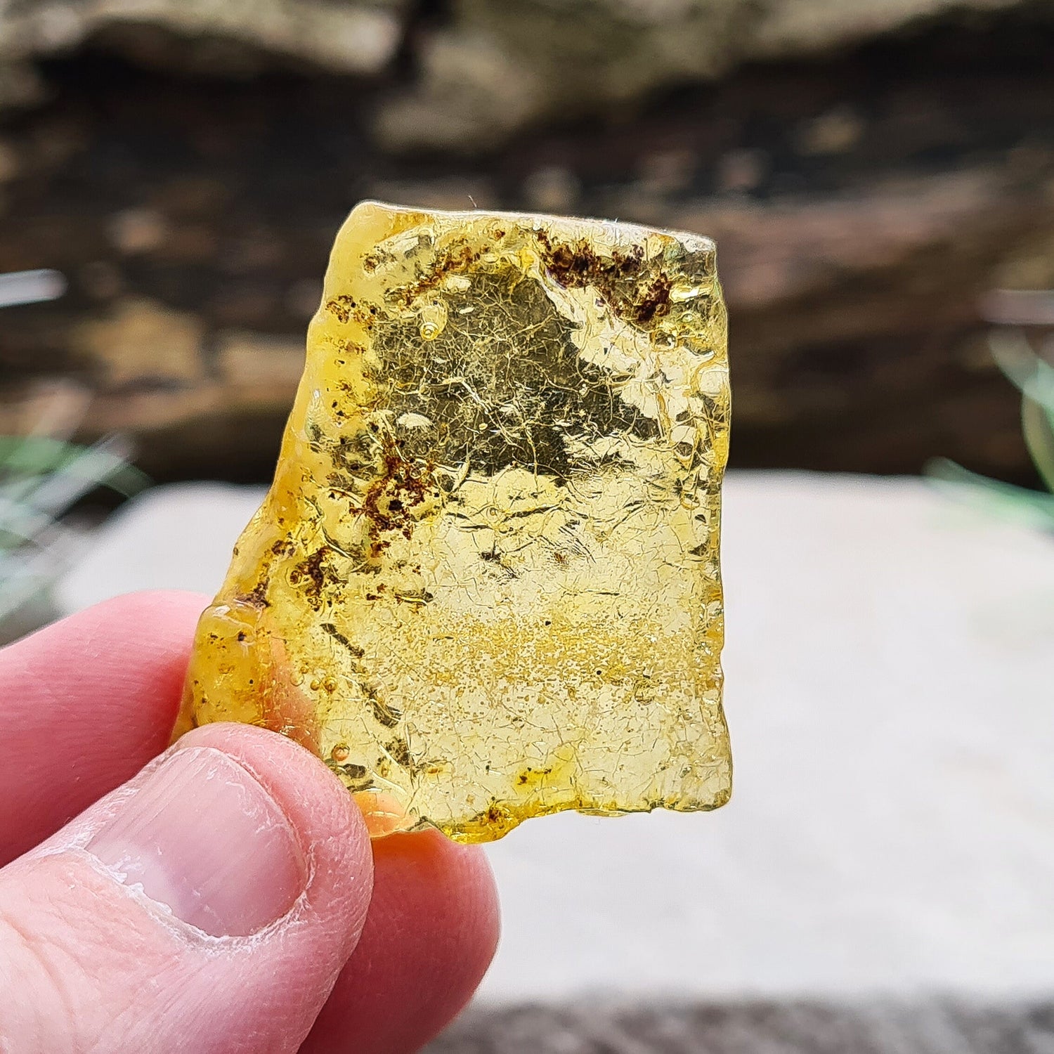 Colombian Copal Amber. This stunning Colombian Copal Amber is younger geologically than Baltic Amber, giving it a unique, vibrant energy and beautiful, sun-filled appearance.