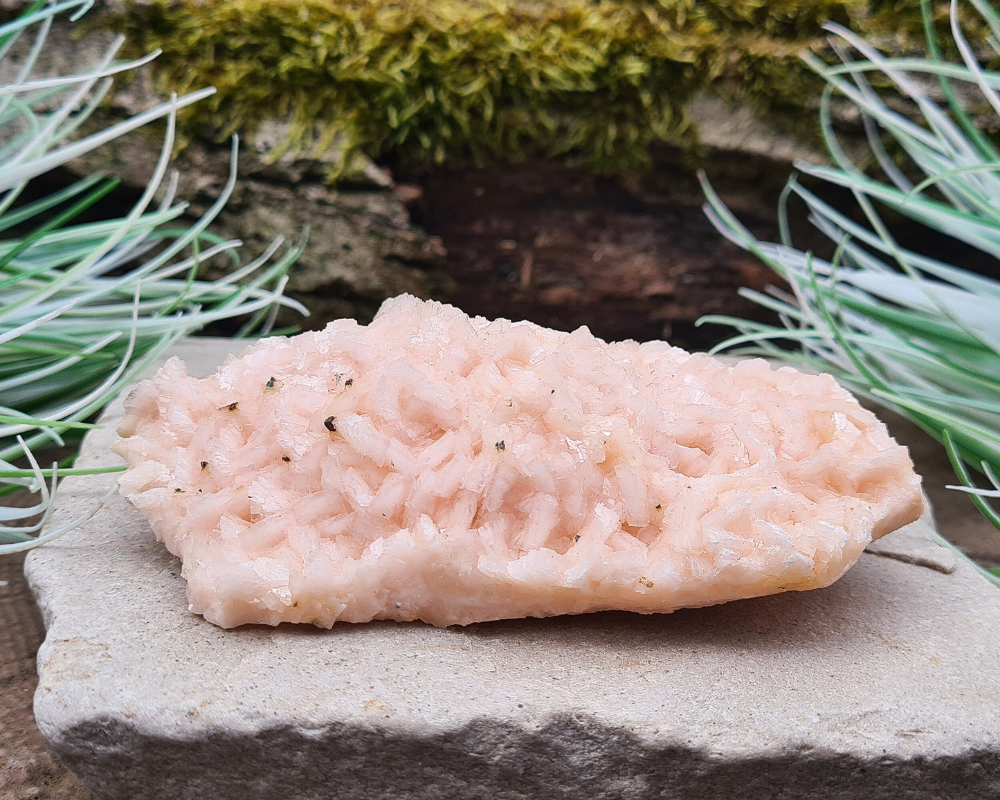 Pink Dolomite Crystal Cluster, Pearl Spa Dolomite