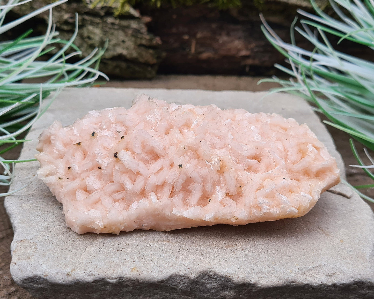 Pink Dolomite Crystal Cluster, Pearl Spa Dolomite