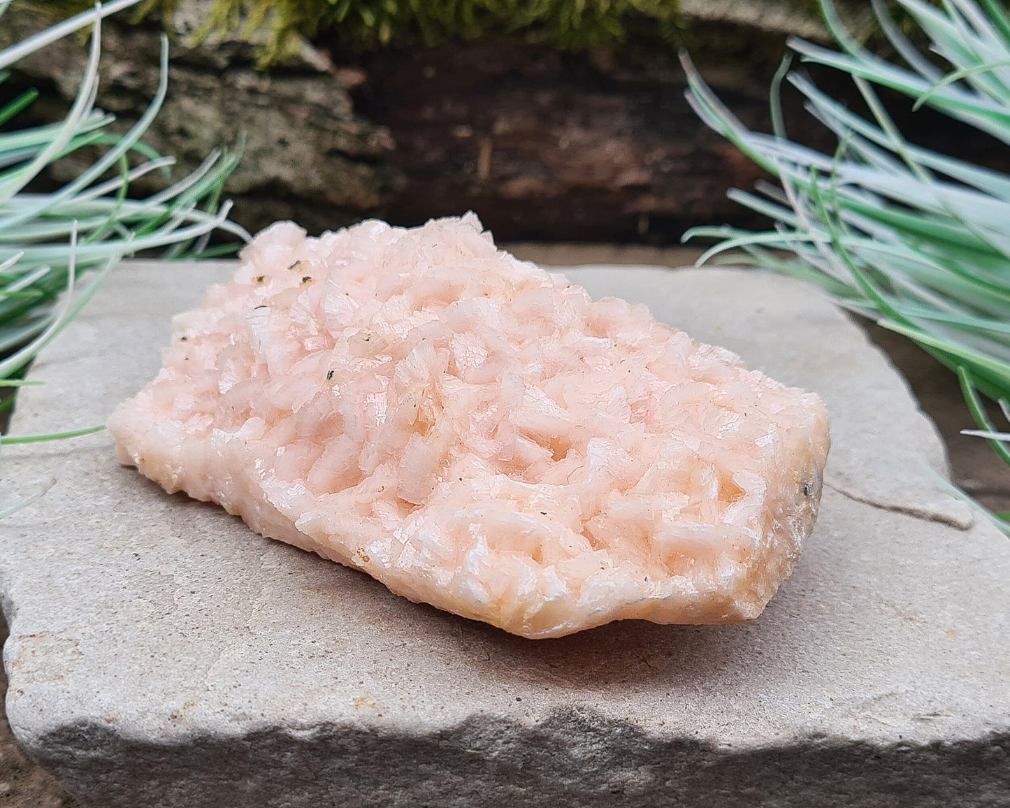 Pink Dolomite Crystal Cluster, Pearl Spa Dolomite