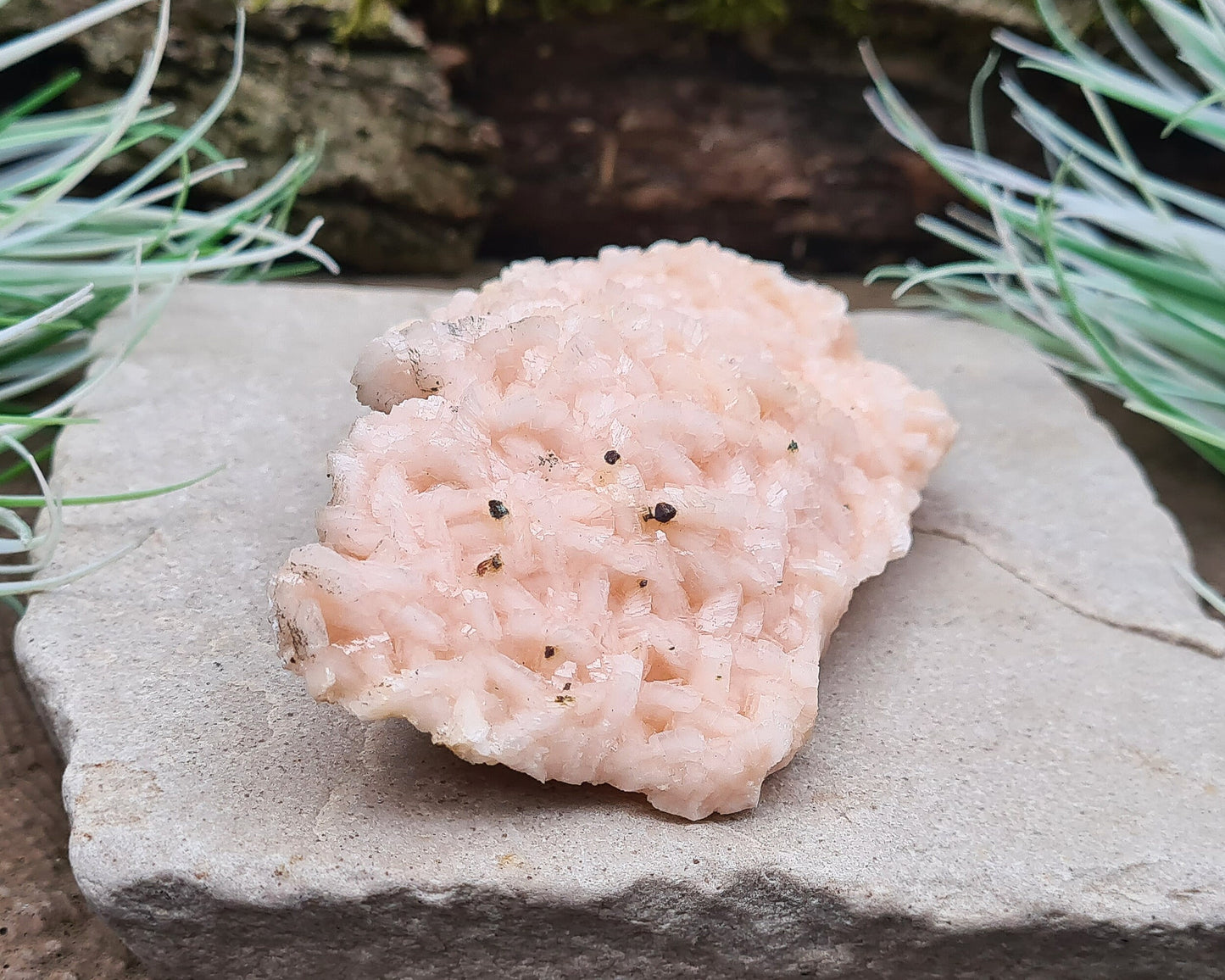 Pink Dolomite Crystal Cluster, Pearl Spa Dolomite