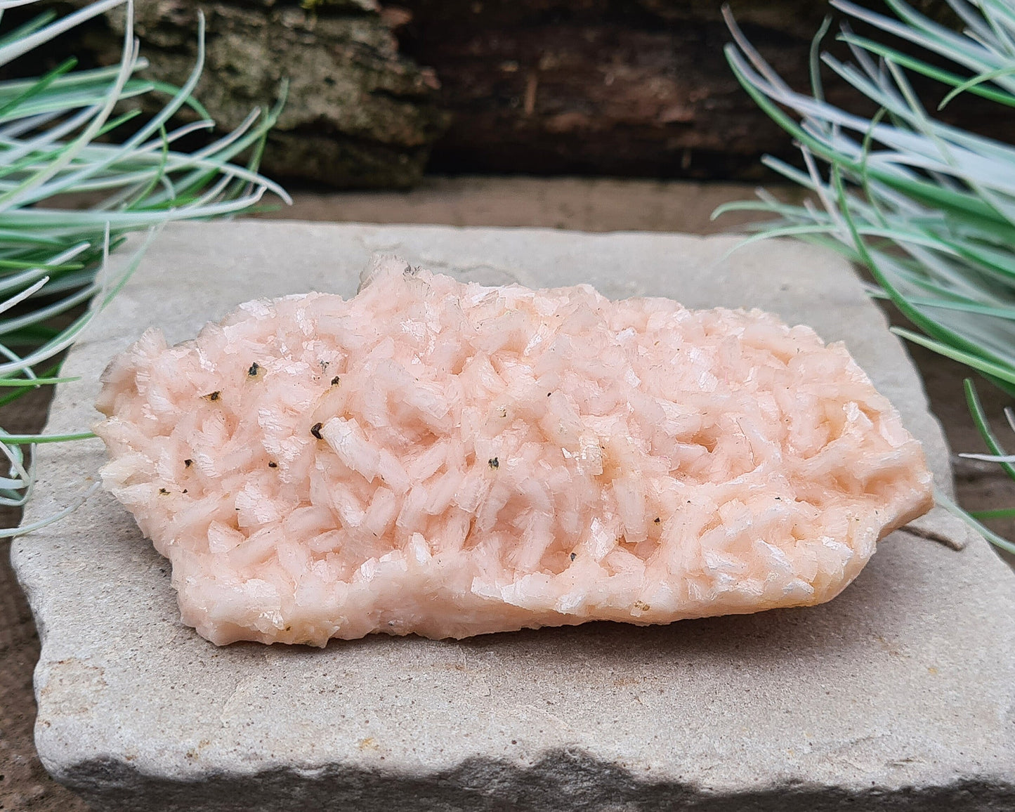 Pink Dolomite Crystal Cluster, Pearl Spa Dolomite