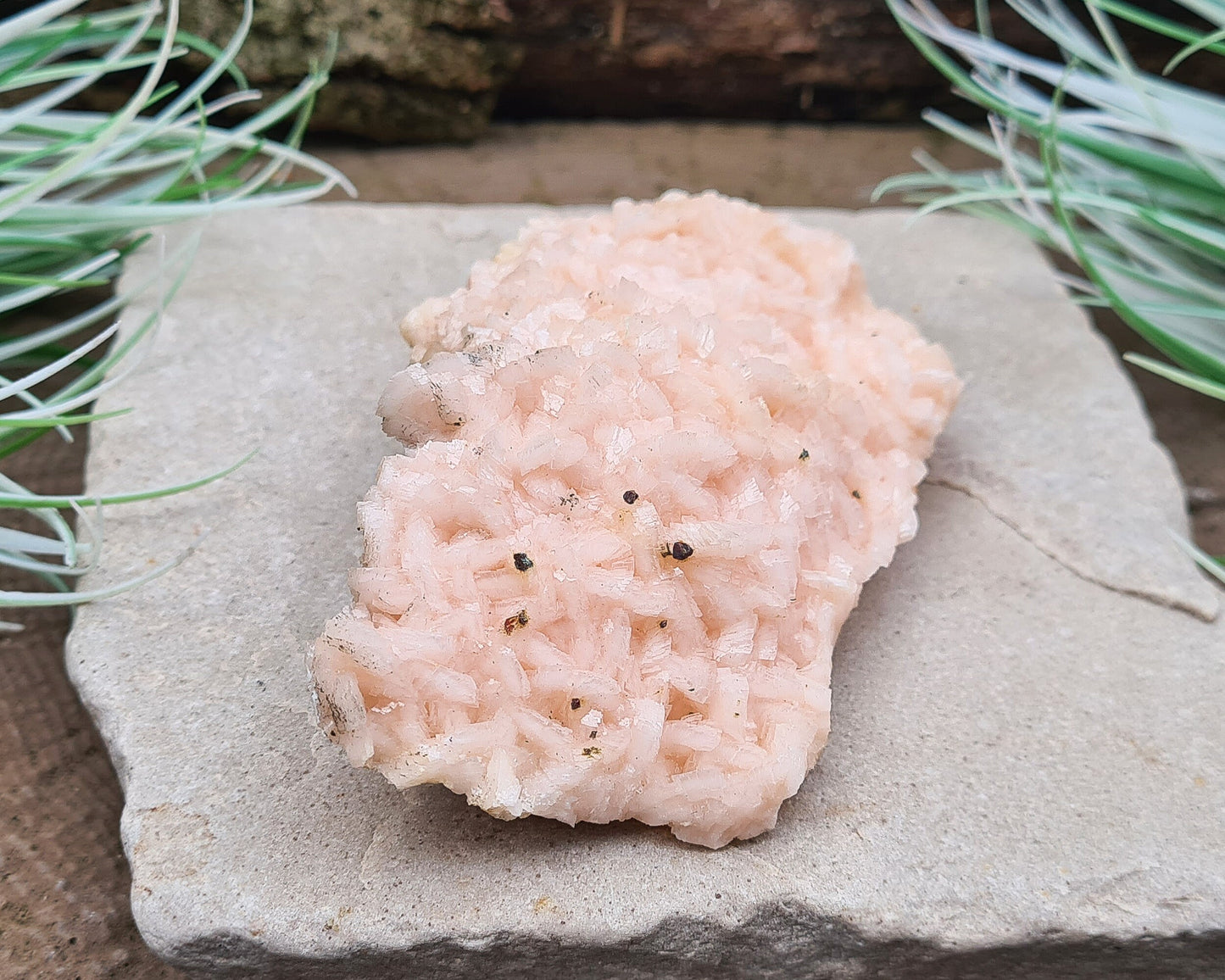 Pink Dolomite Crystal Cluster, Pearl Spa Dolomite