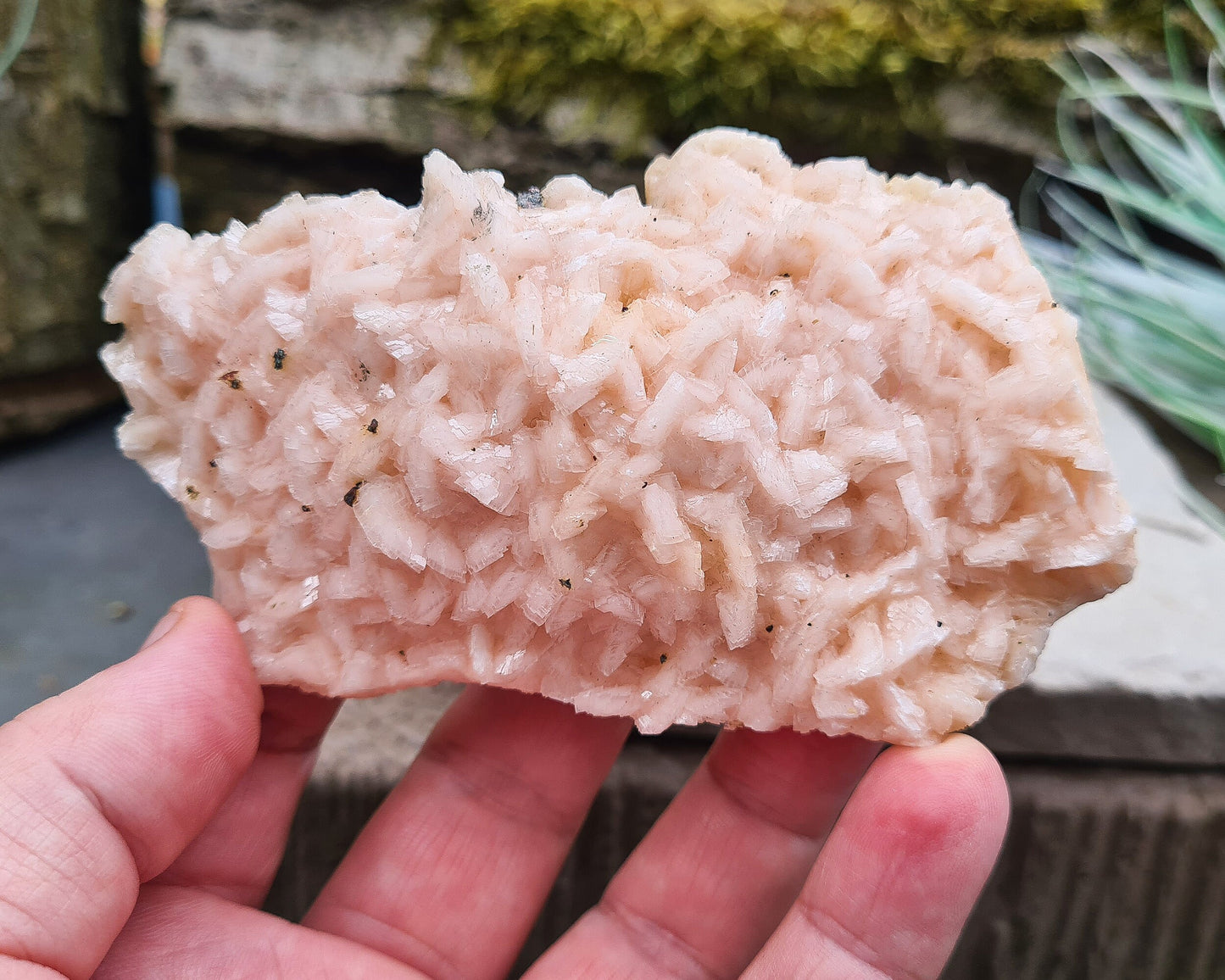 Pink Dolomite Crystal Cluster, Pearl Spa Dolomite