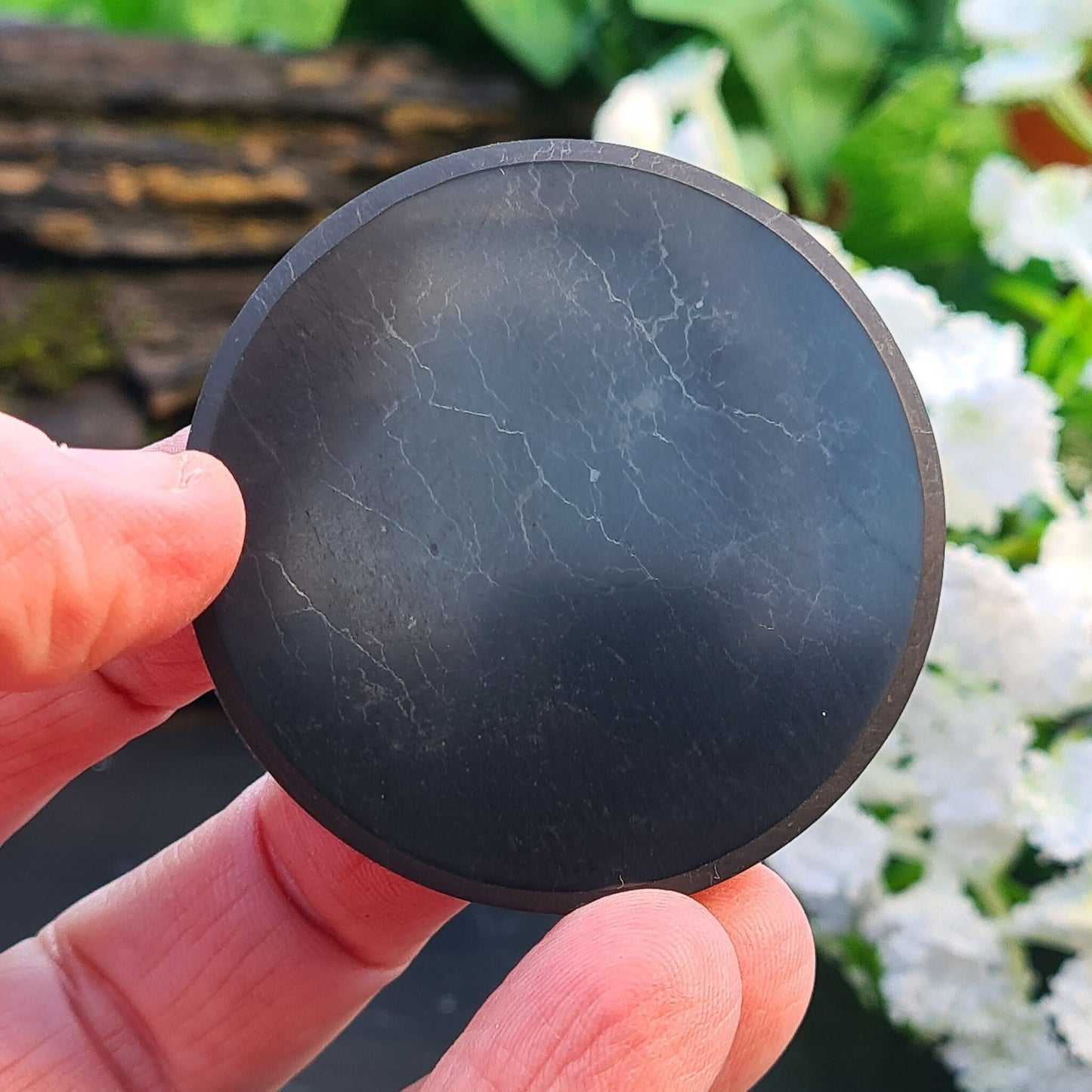 Shungite Disc from the Karelia region of Russia, polished to a smooth finish. Formed from rare carbon minerals over 2 billion years ago, it contains nearly all the minerals in the periodic table. Cleanse regularly and recharge in the sun. Can also be used as a platform for placing objects onto.