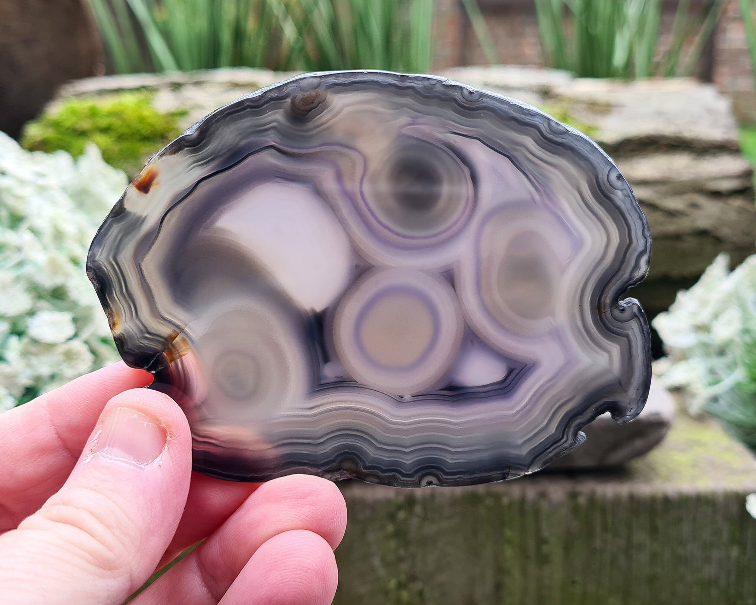 Agate Crystal Slice. This beautiful Agate Slice from Brazil showcases stunning natural patterns and rich color. 