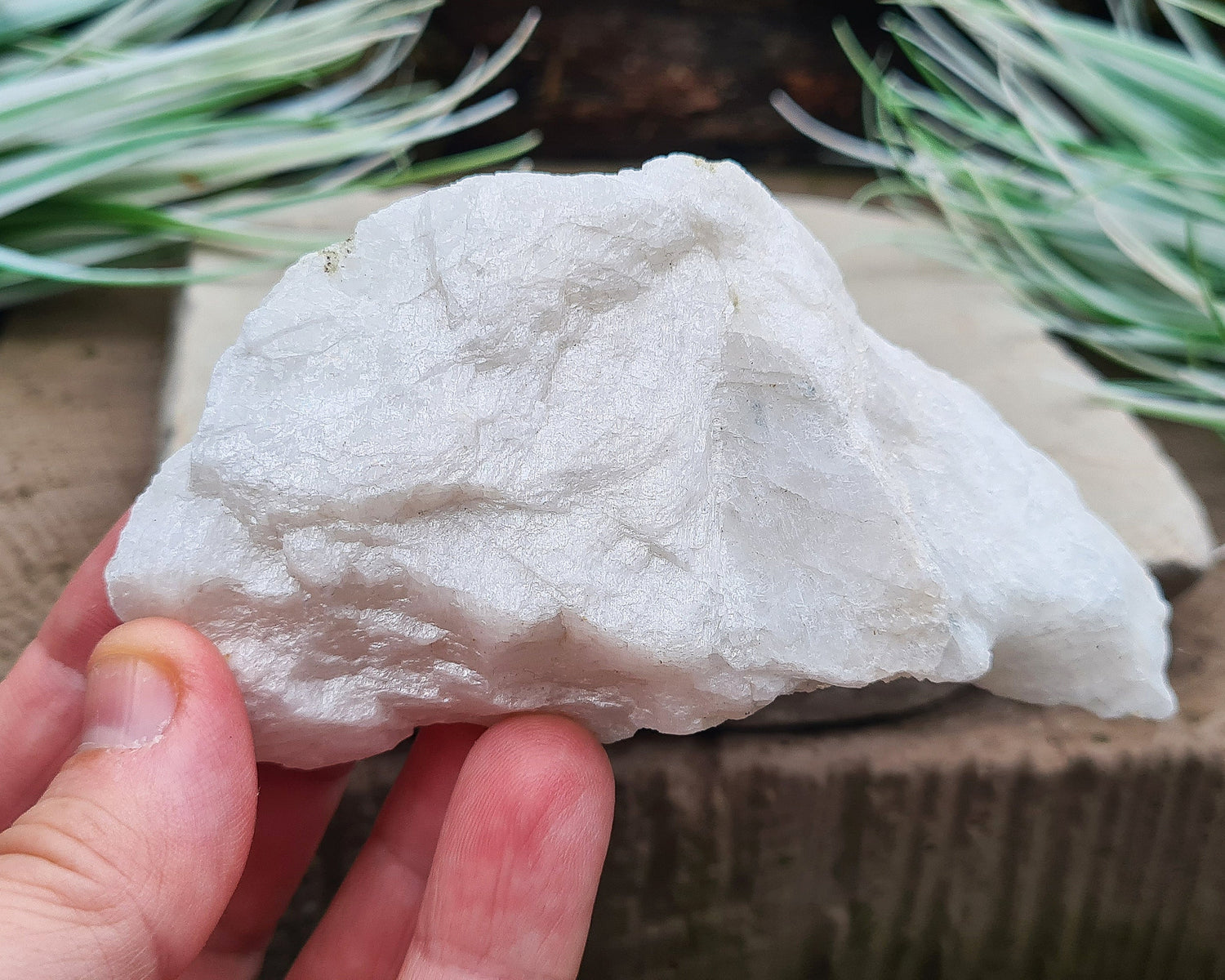 Natural Moonstone (white) crystal. from India. lovely opalescence when light is on the crystal.