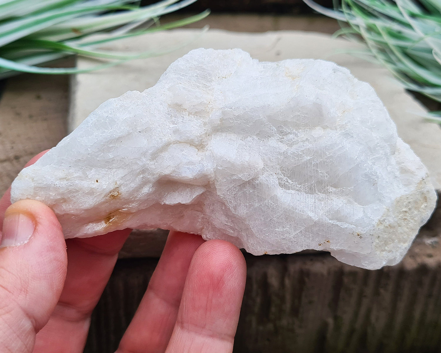 Natural Moonstone (white) crystal. from India. lovely opalescence when light is on the crystal.