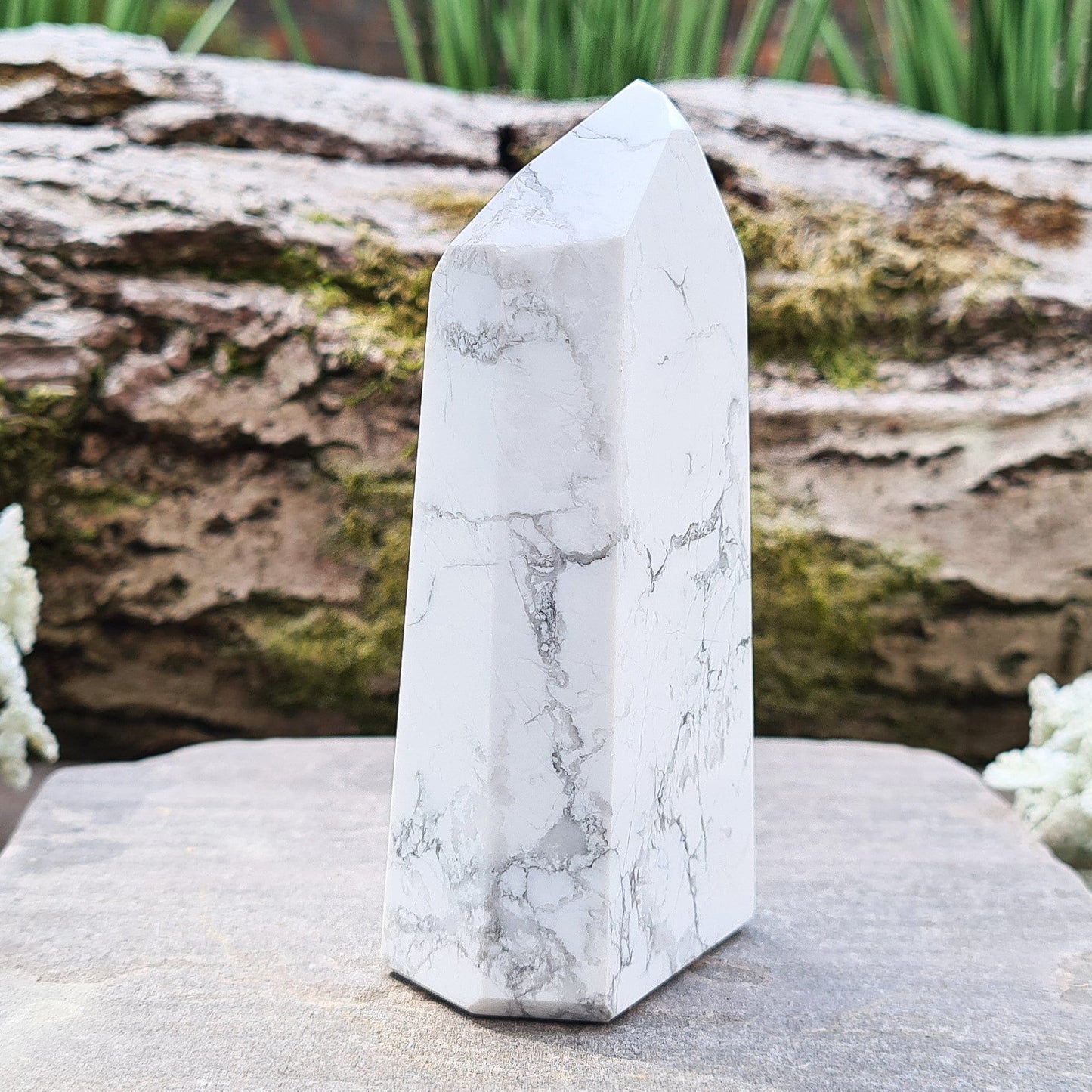 Unlock spiritual growth and emotional balance with Howlite crystals. A versatile stone for calm, focus, and memory boosting.